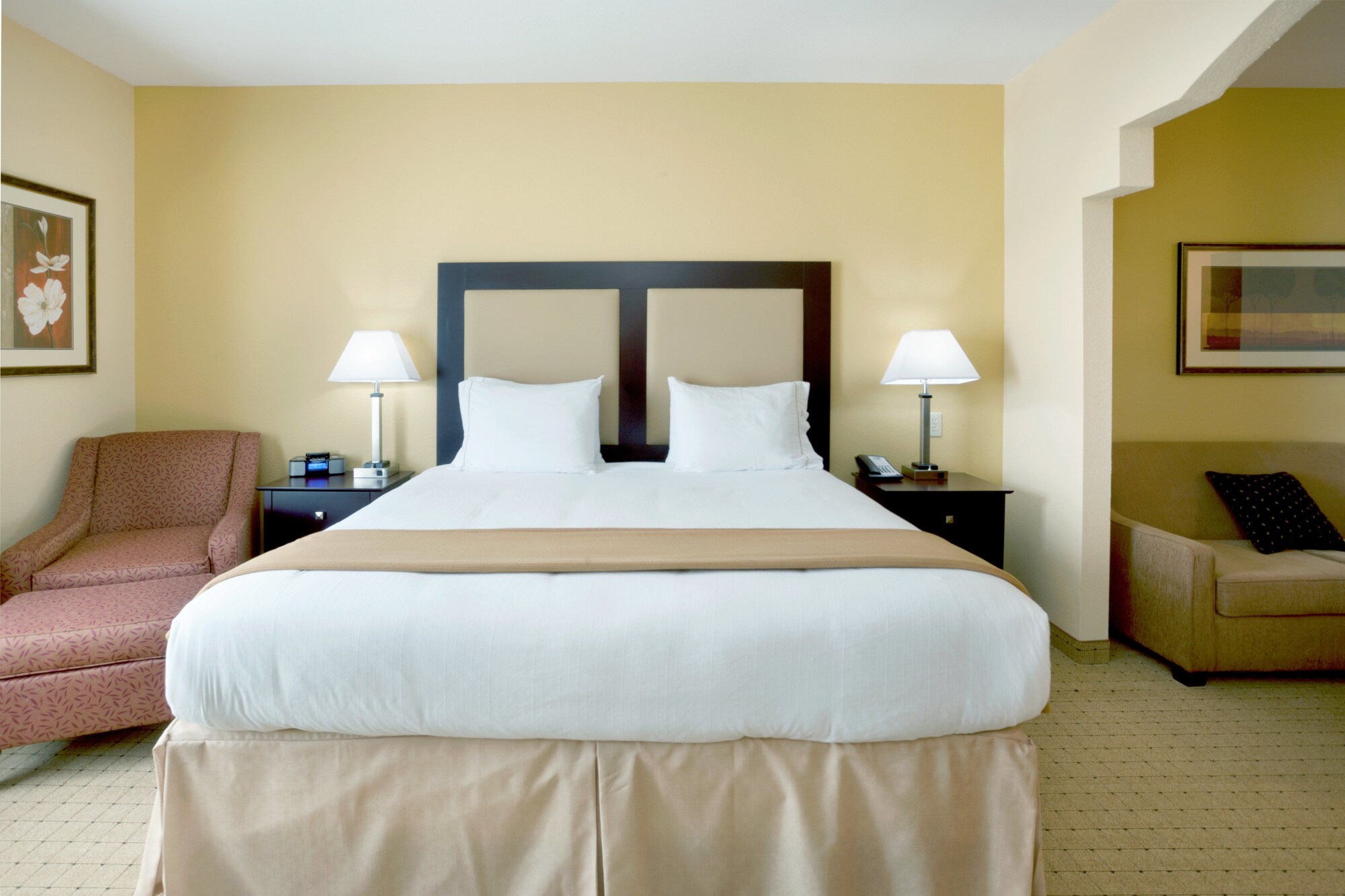 Holiday Inn Express & Suites Georgetown