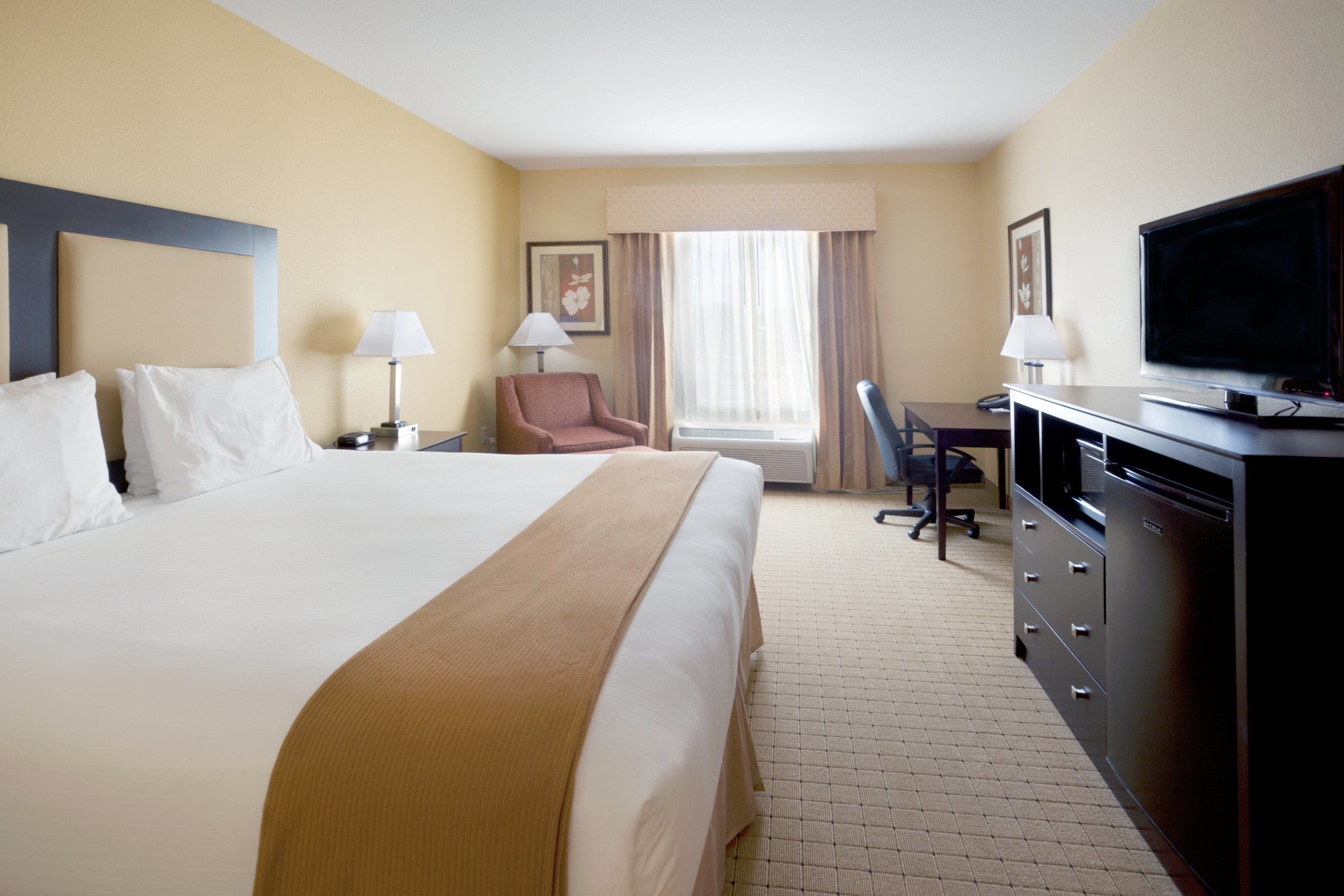 Holiday Inn Express & Suites Georgetown