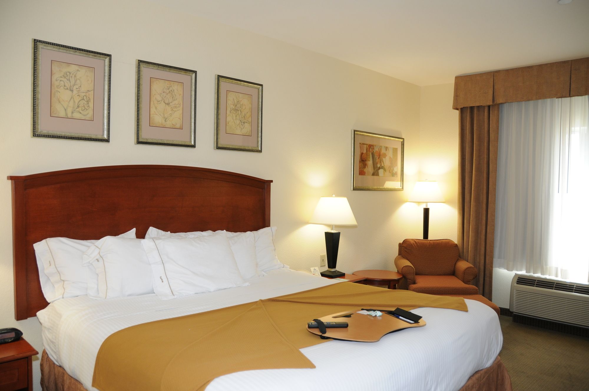 Holiday Inn Express & Suites Dallas - Grand Prairie I-20