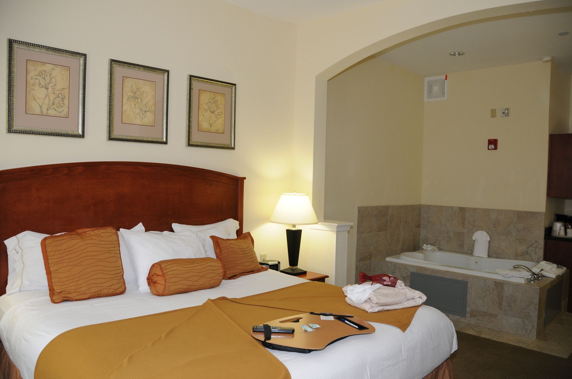 Holiday Inn Express & Suites Dallas - Grand Prairie I-20