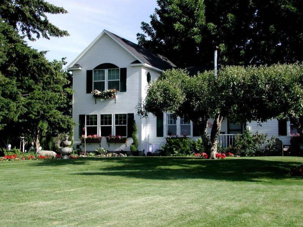 Cozy Rose Inn