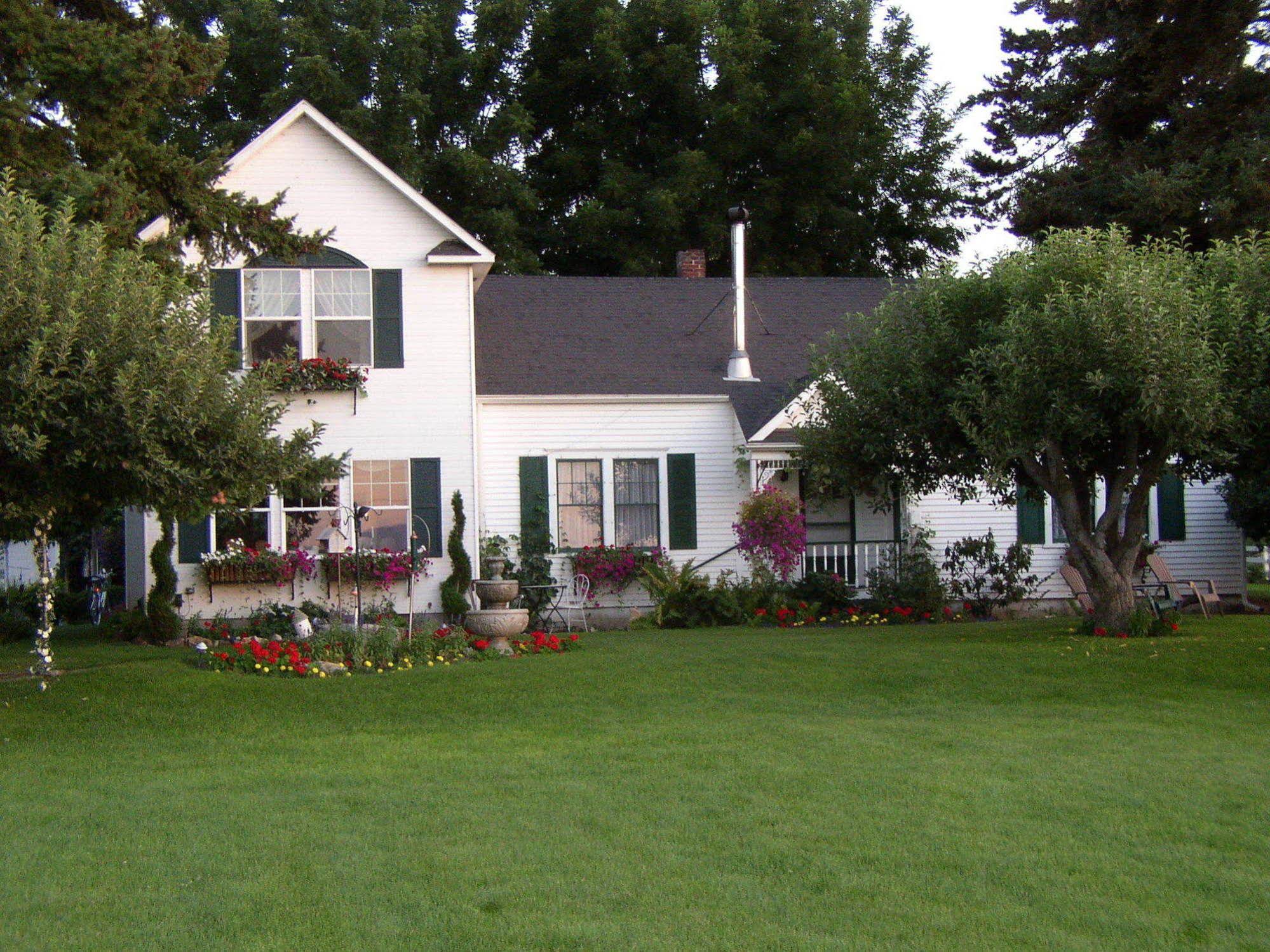 Cozy Rose Inn