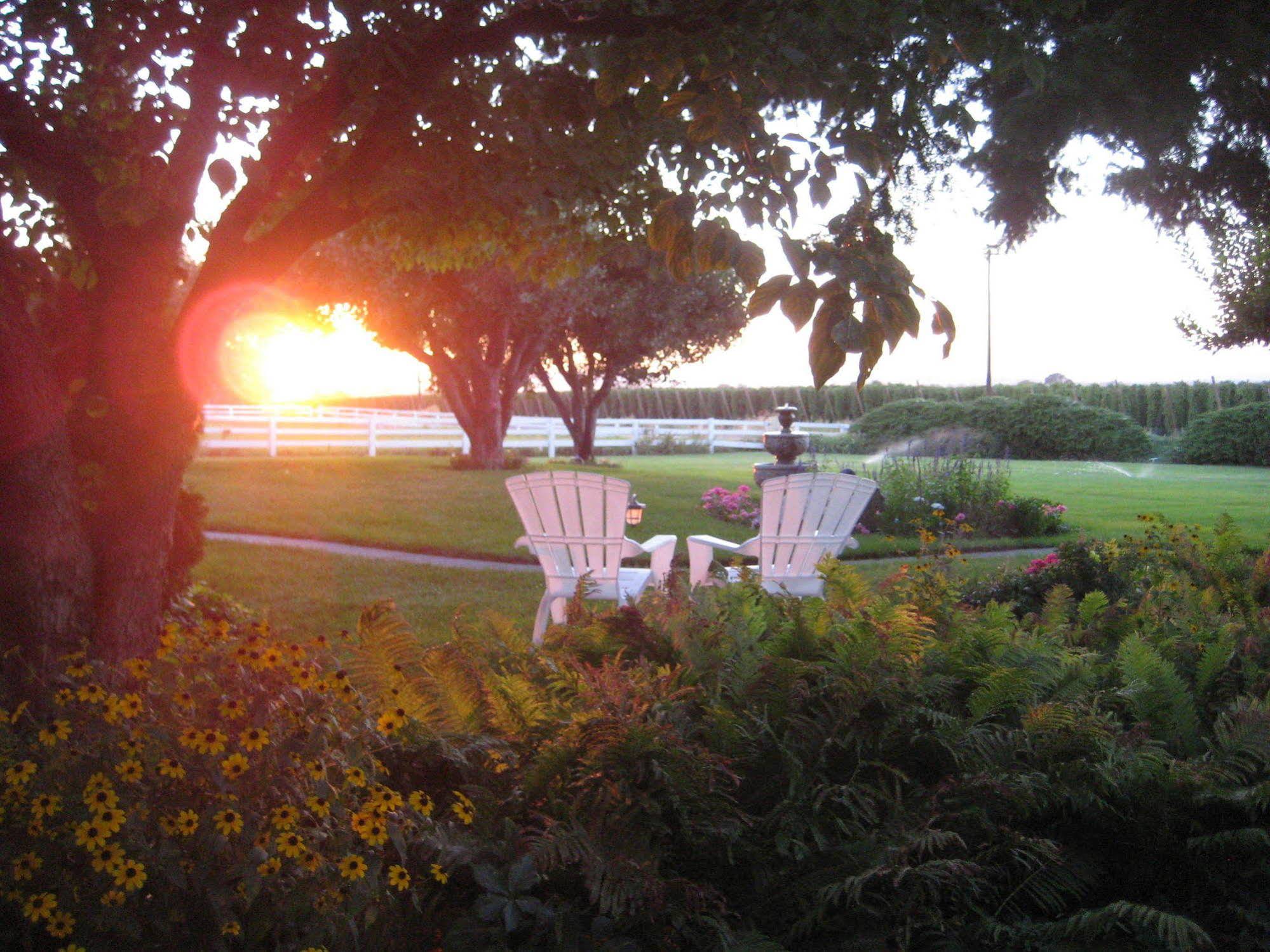 Cozy Rose Inn