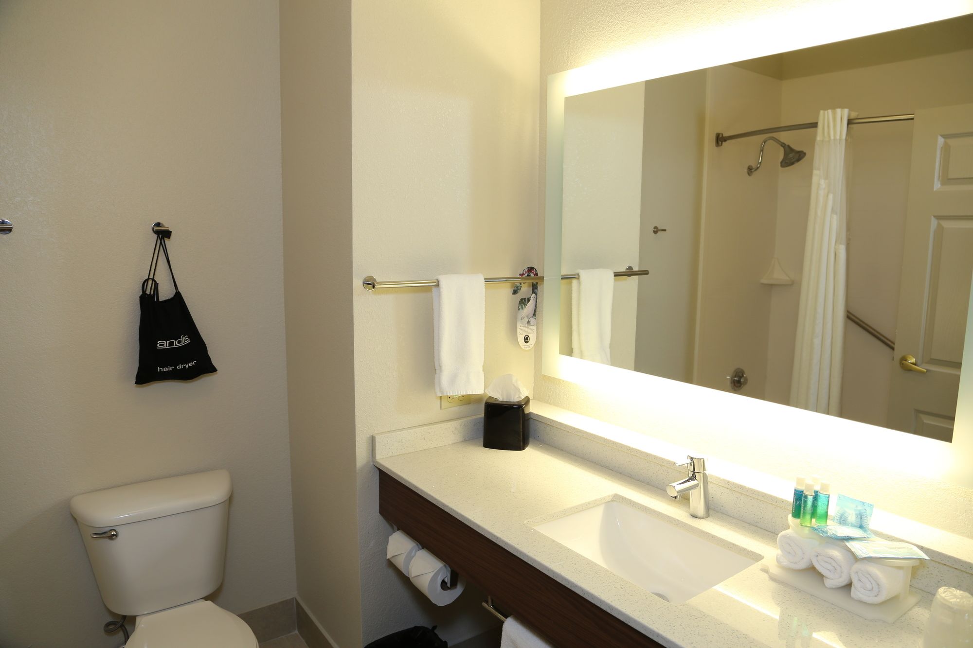 Holiday Inn Express & Suites Greenville