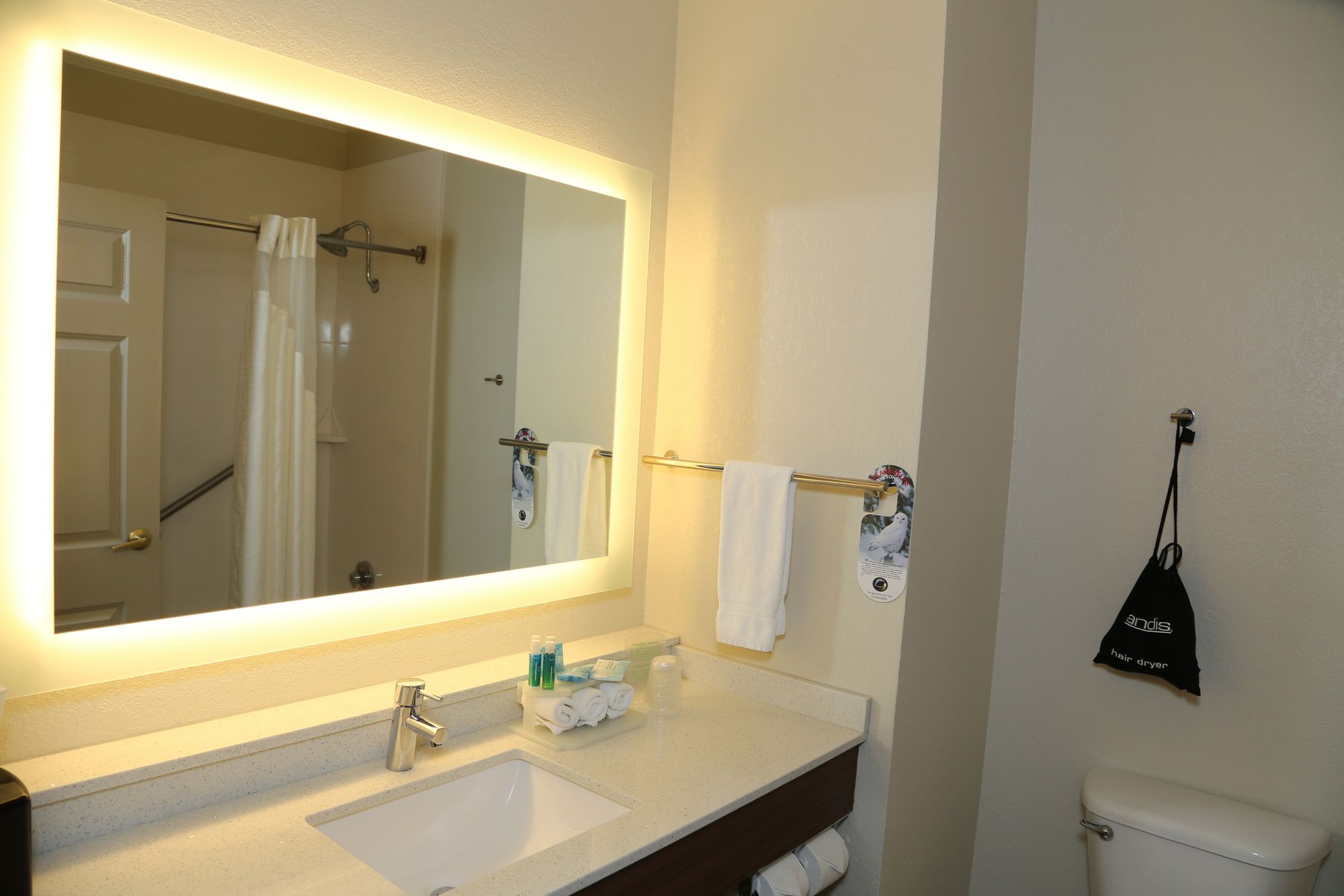 Holiday Inn Express & Suites Greenville