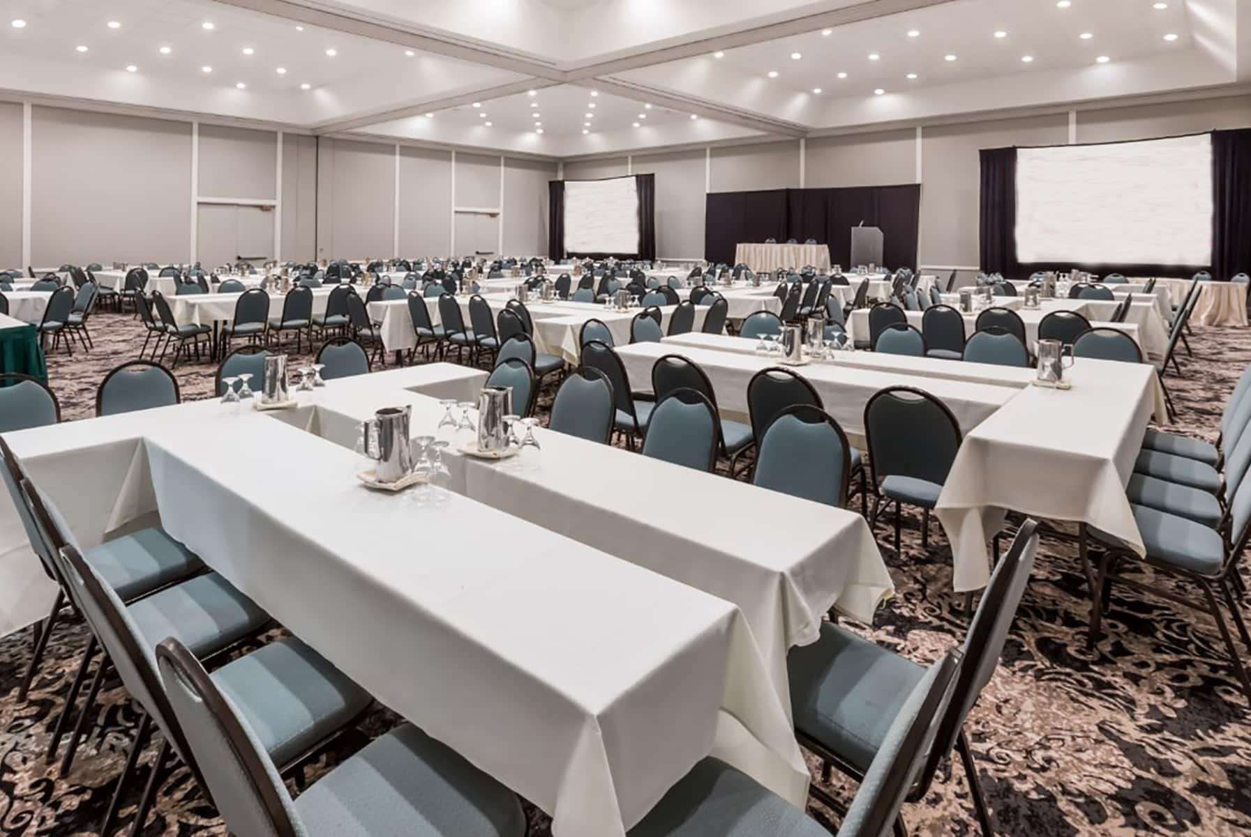 Wyndham Houston near NRG Park/Medical Center