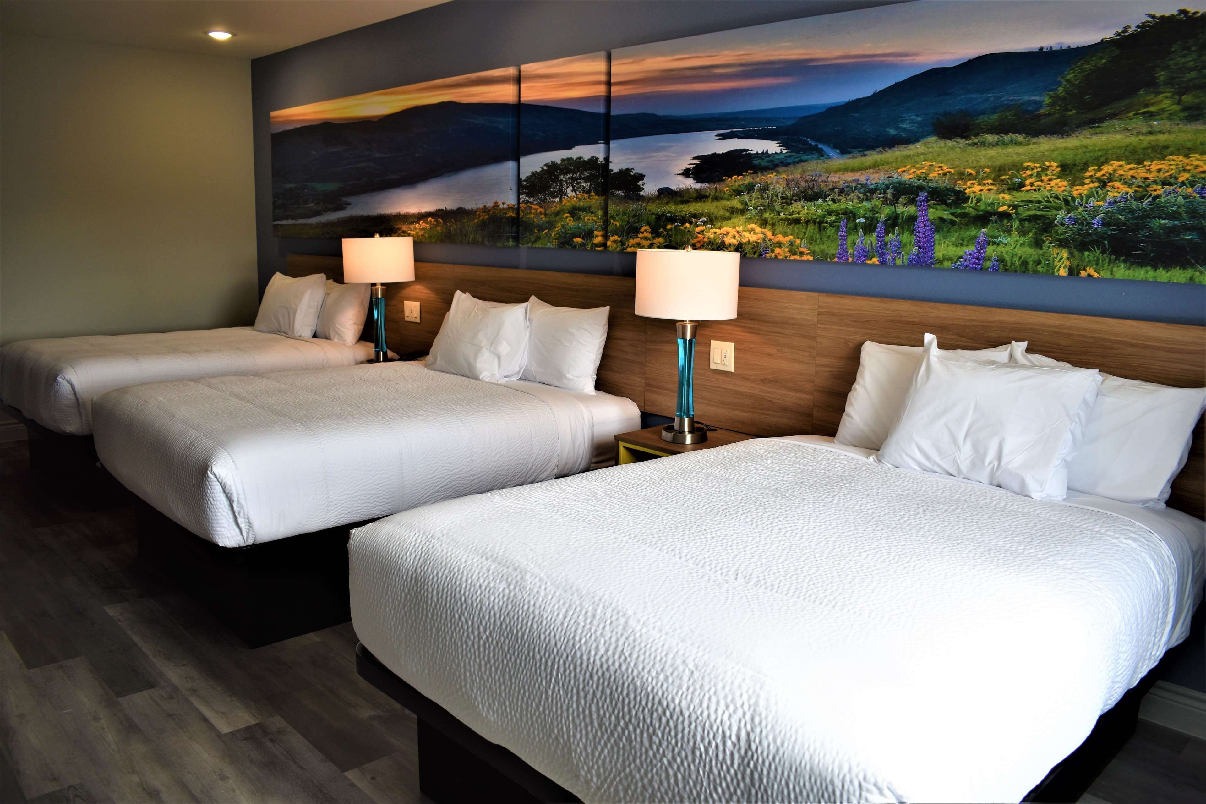 Days Inn & Suites by Wyndham Downtown/University of Houston