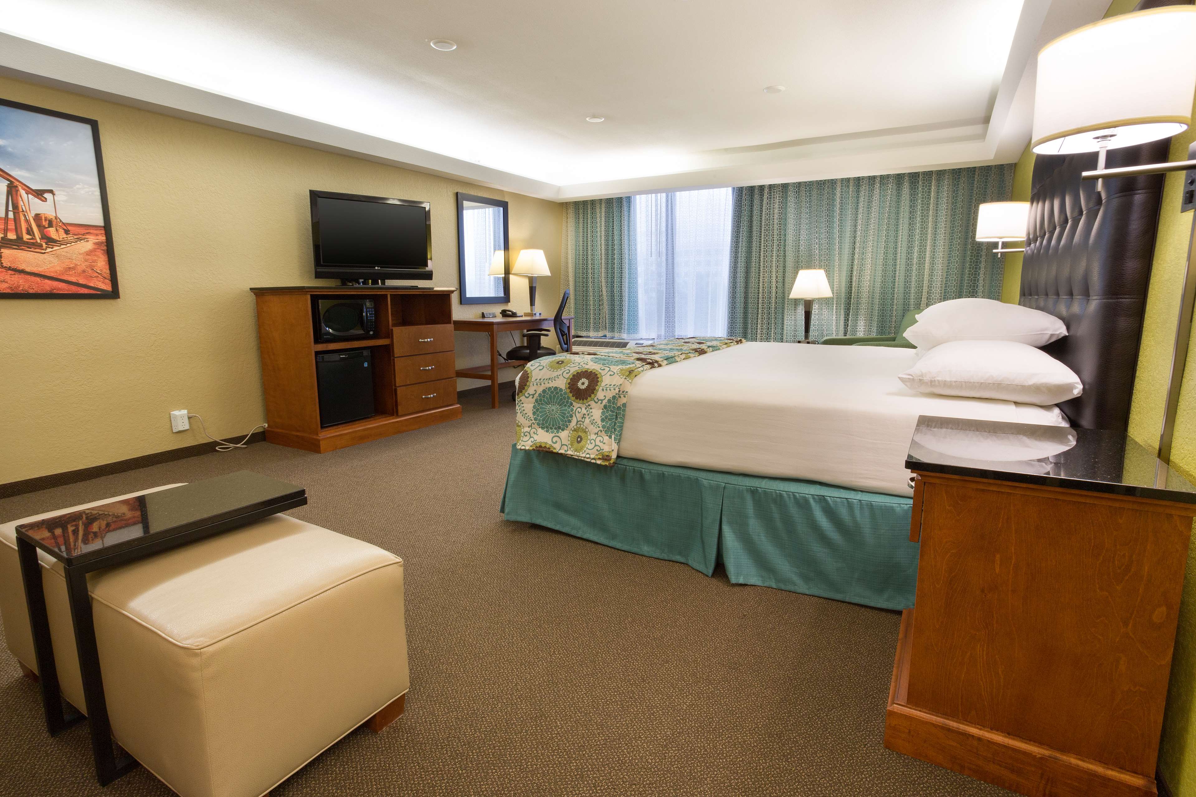 Drury Inn & Suites Near the Galleria Houston