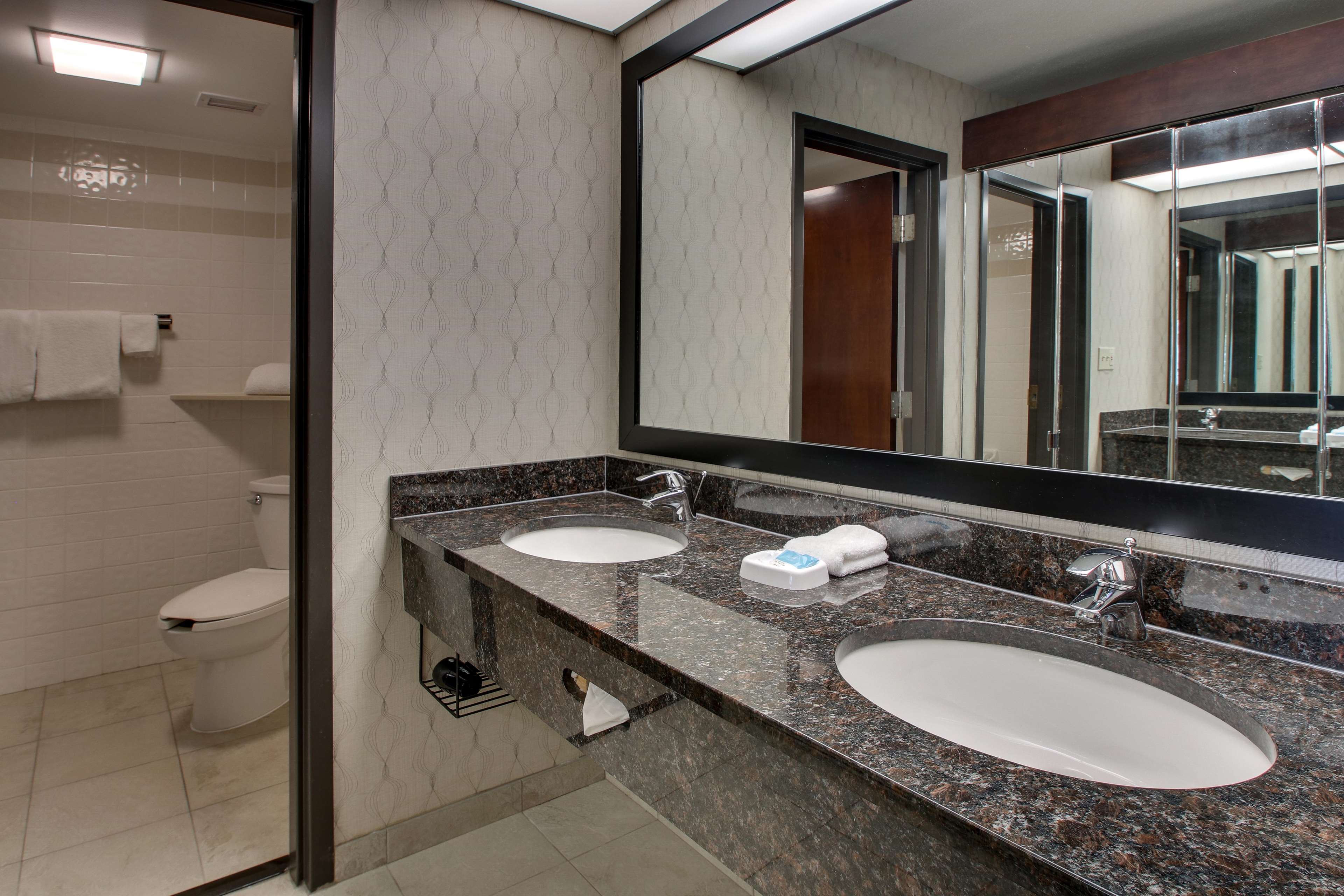 Drury Inn & Suites Near the Galleria Houston