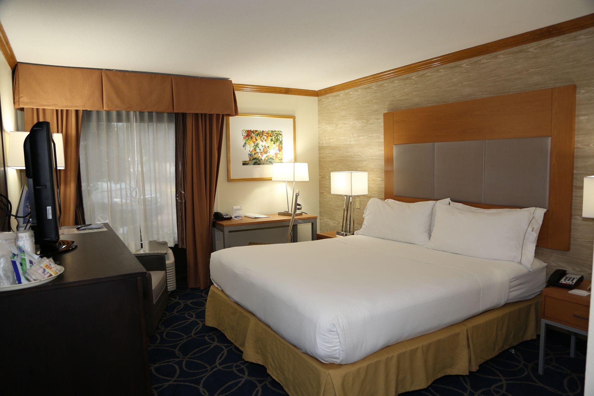 Comfort Inn & Suites Houston I-10 West Energy Corridor