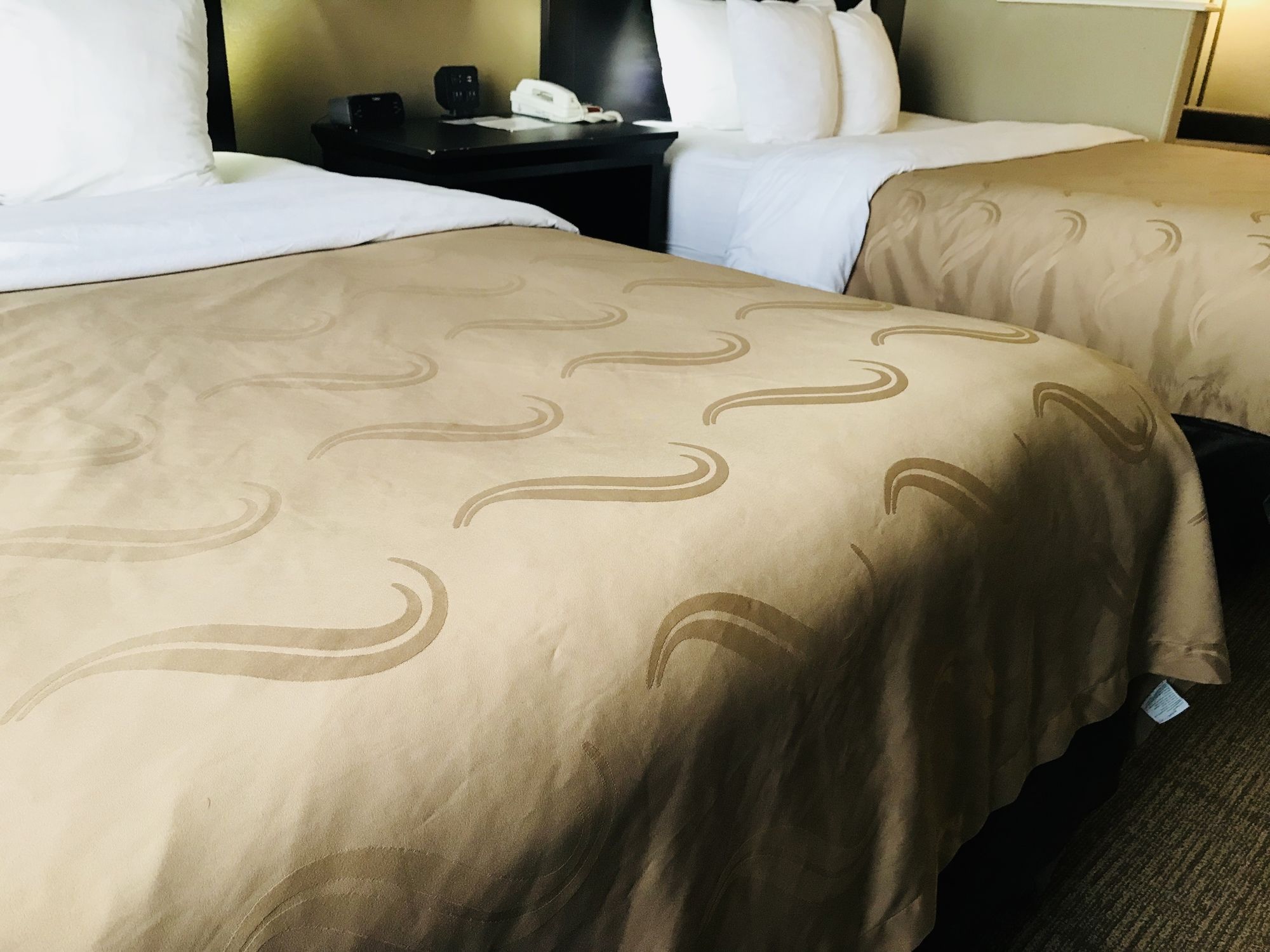 Quality Suites