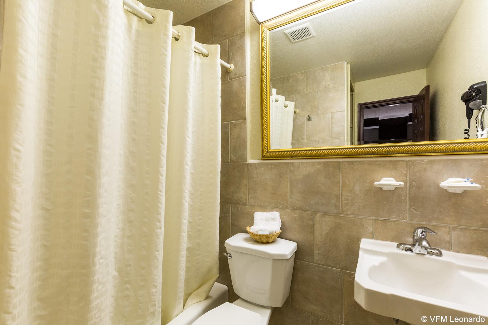 Rodway Inn & Suites Houston Medical Center