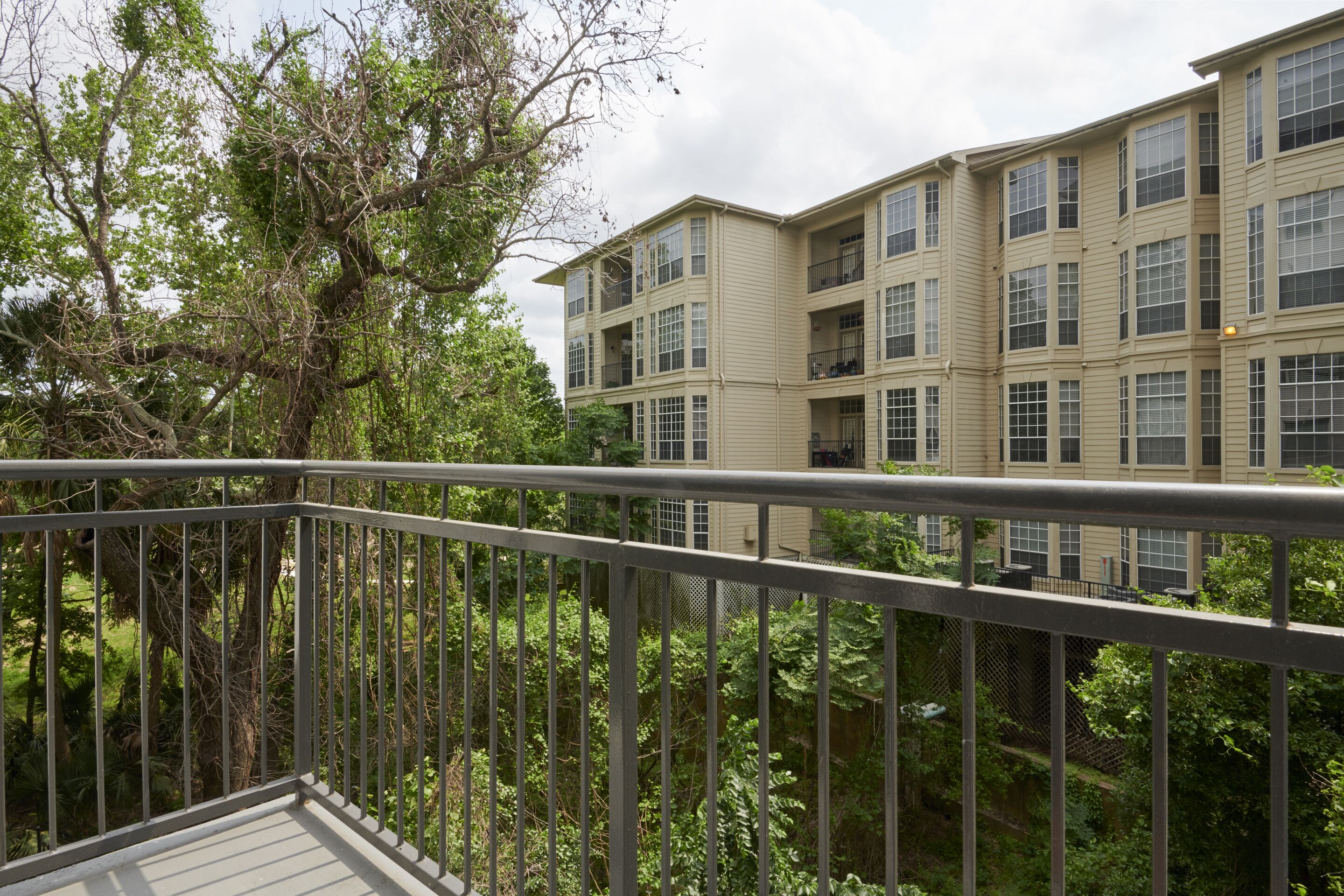 Bayou on the Bend