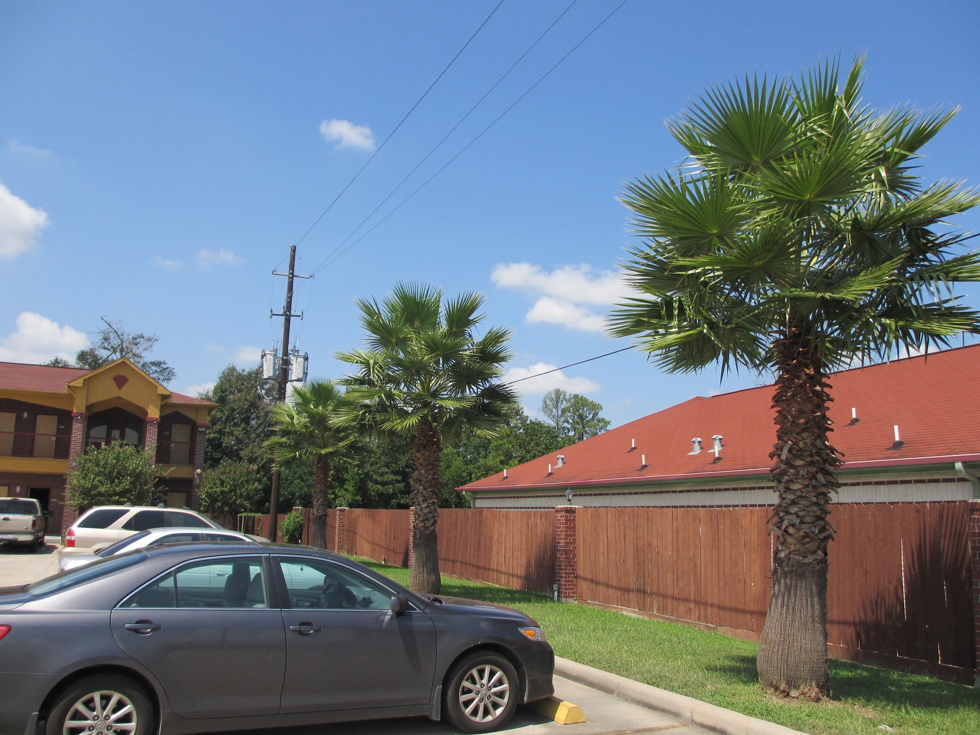 Winchester Inn & Suites Humble/IAH/North Houston
