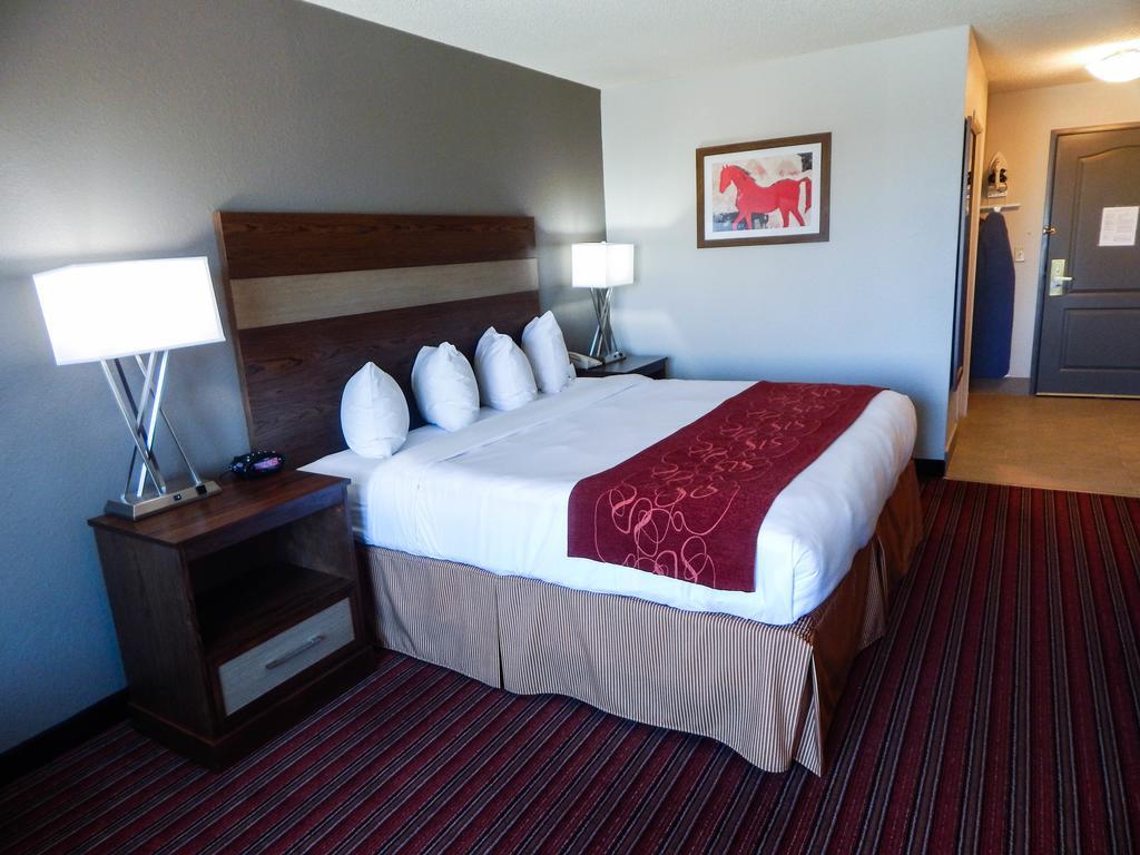 Country Inn & Suites by Radisson, DFW Airport South, TX