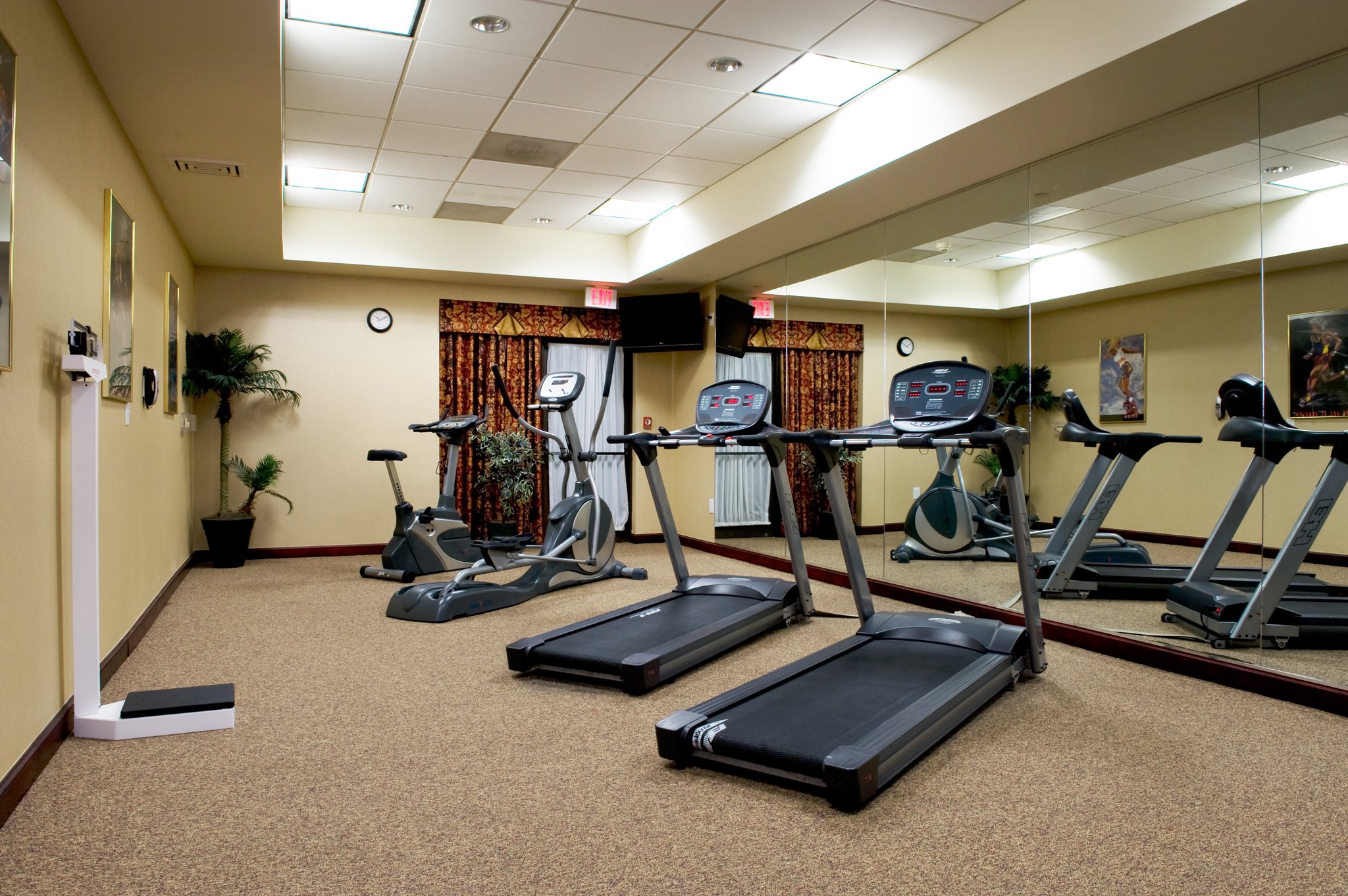 Holiday Inn Express Hotel & Suites Dallas Ft. Worth Airport South