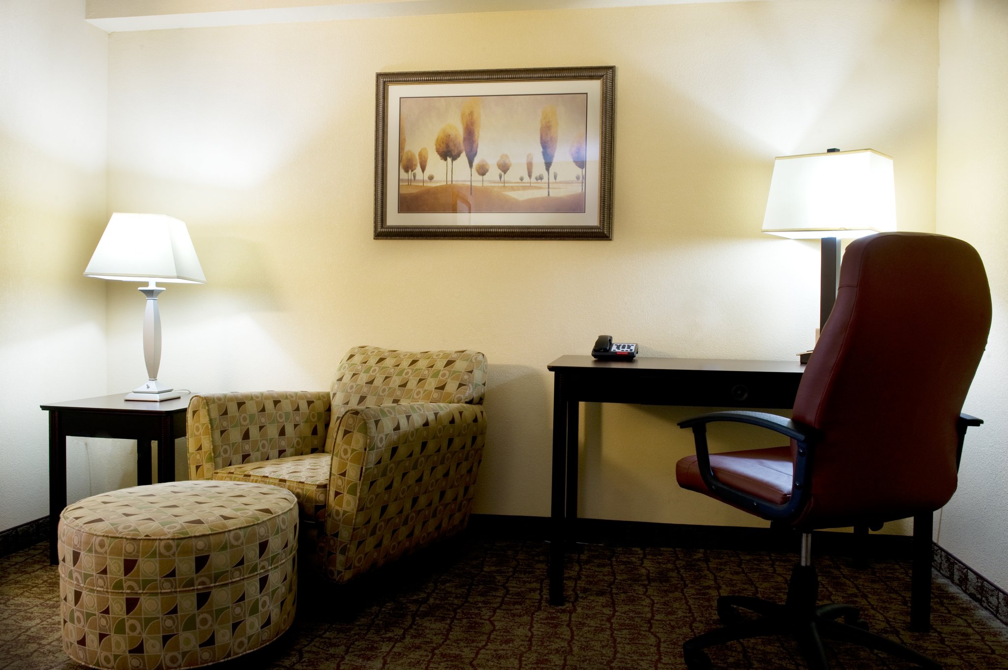 Holiday Inn Express Hotel & Suites Dallas Ft. Worth Airport South