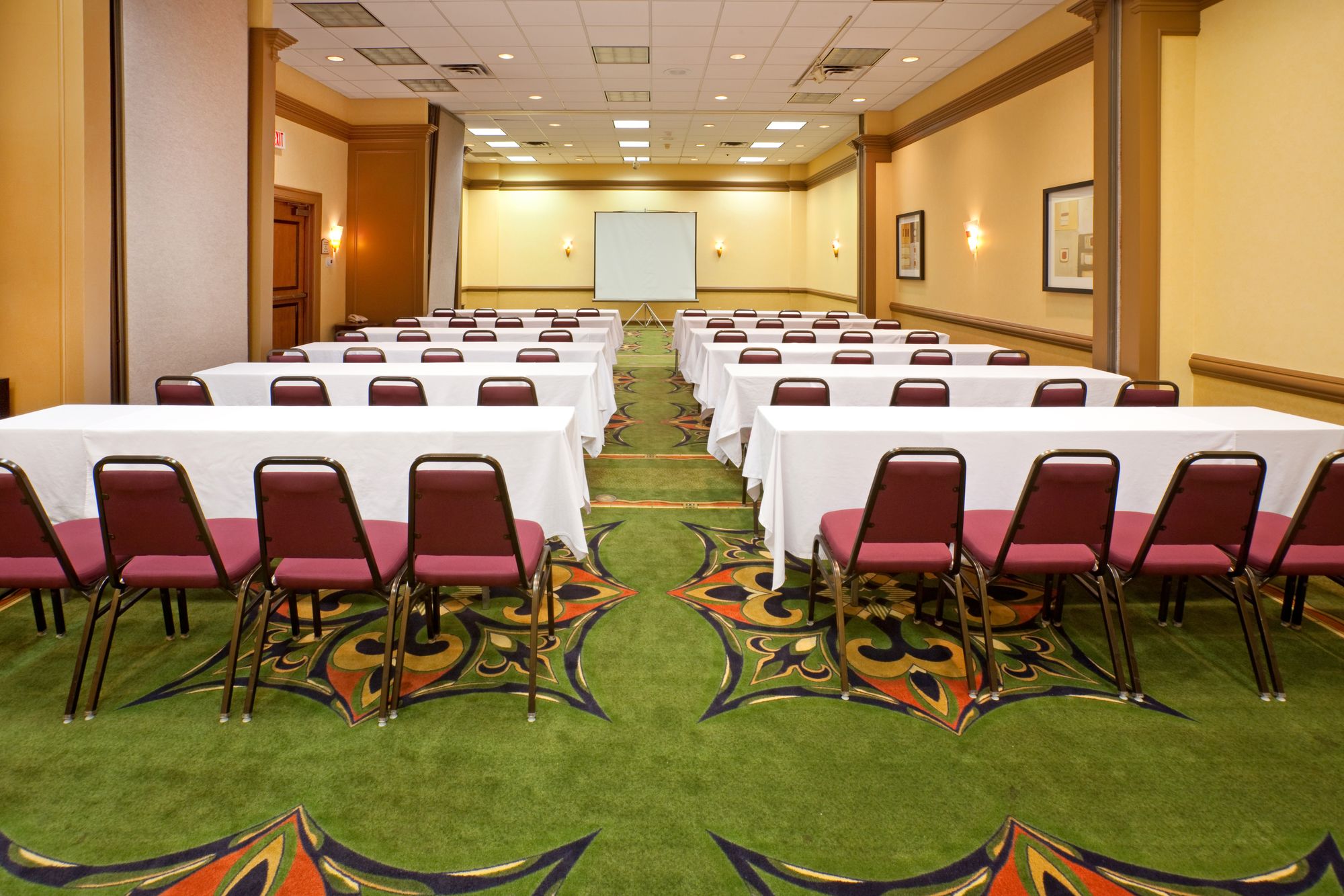 Holiday Inn Express Hotel & Suites DFW North