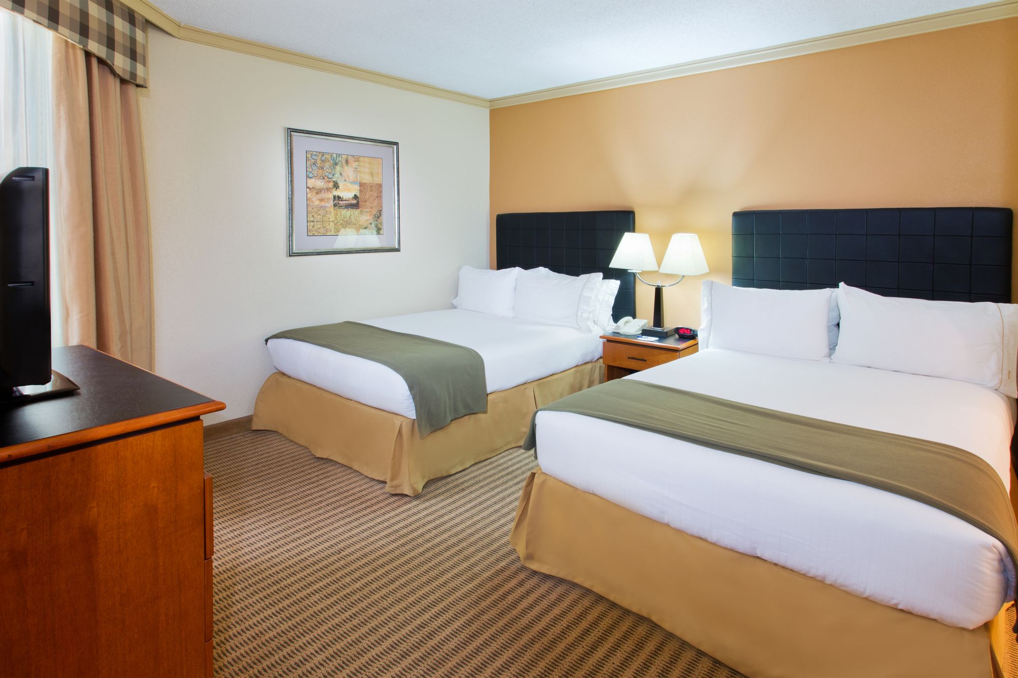 Holiday Inn Express Hotel & Suites DFW North