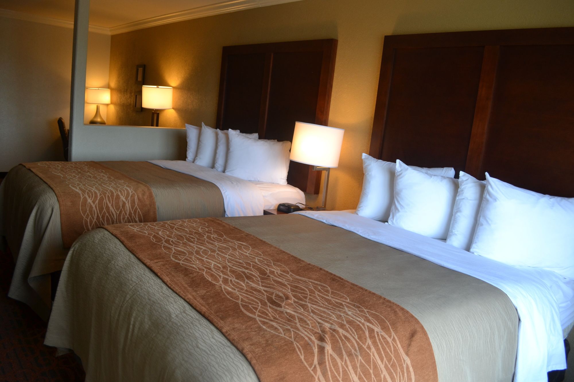 Comfort Inn & Suites Houston West-Katy