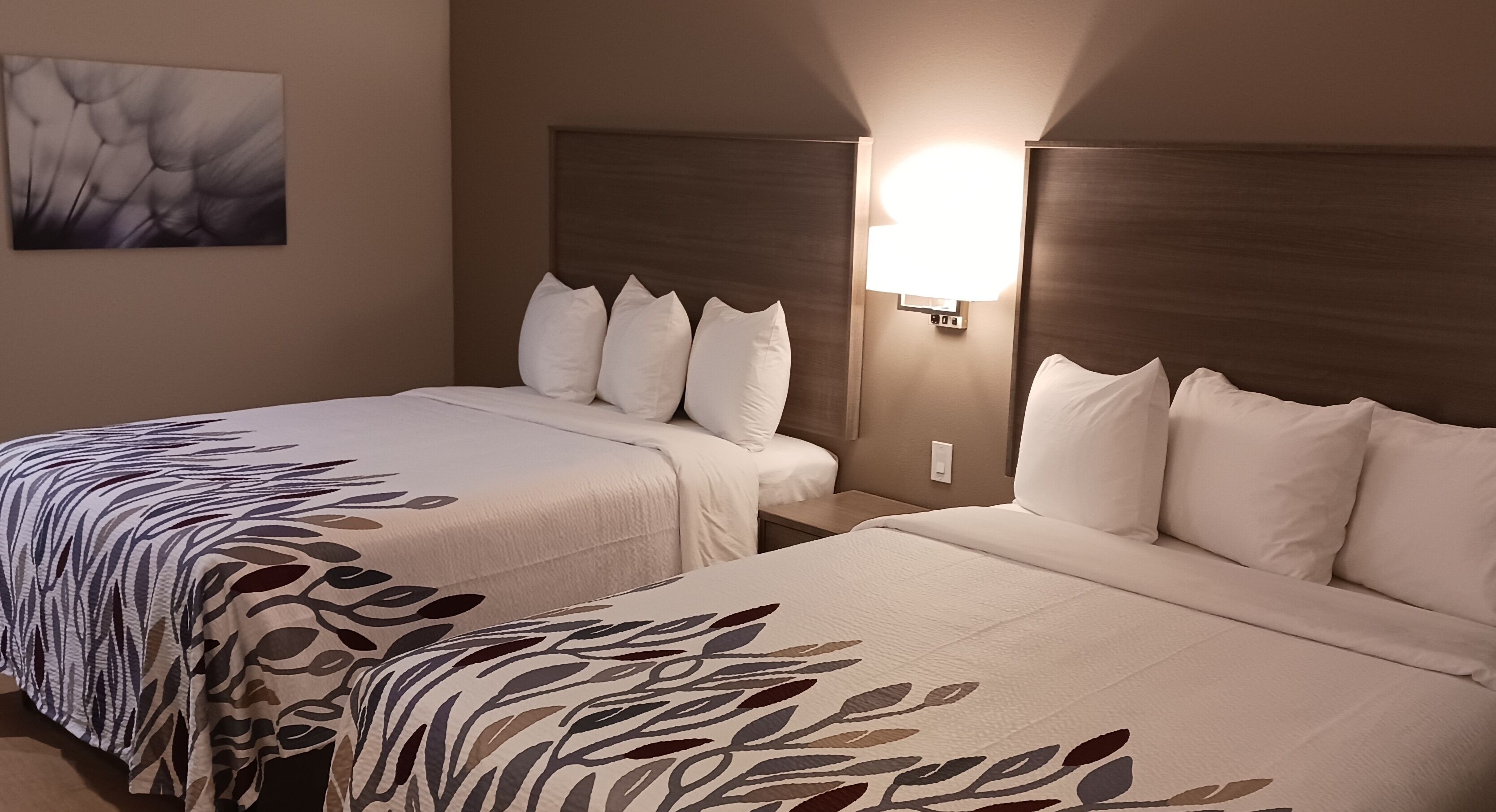 Red Roof Inn Lancaster TX