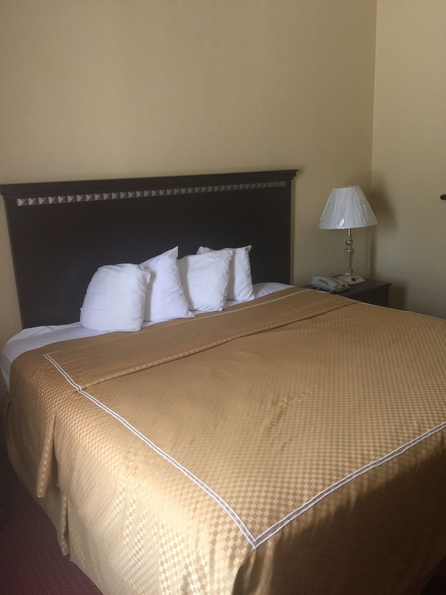 Amerik Suites Behind Mall Del Norte