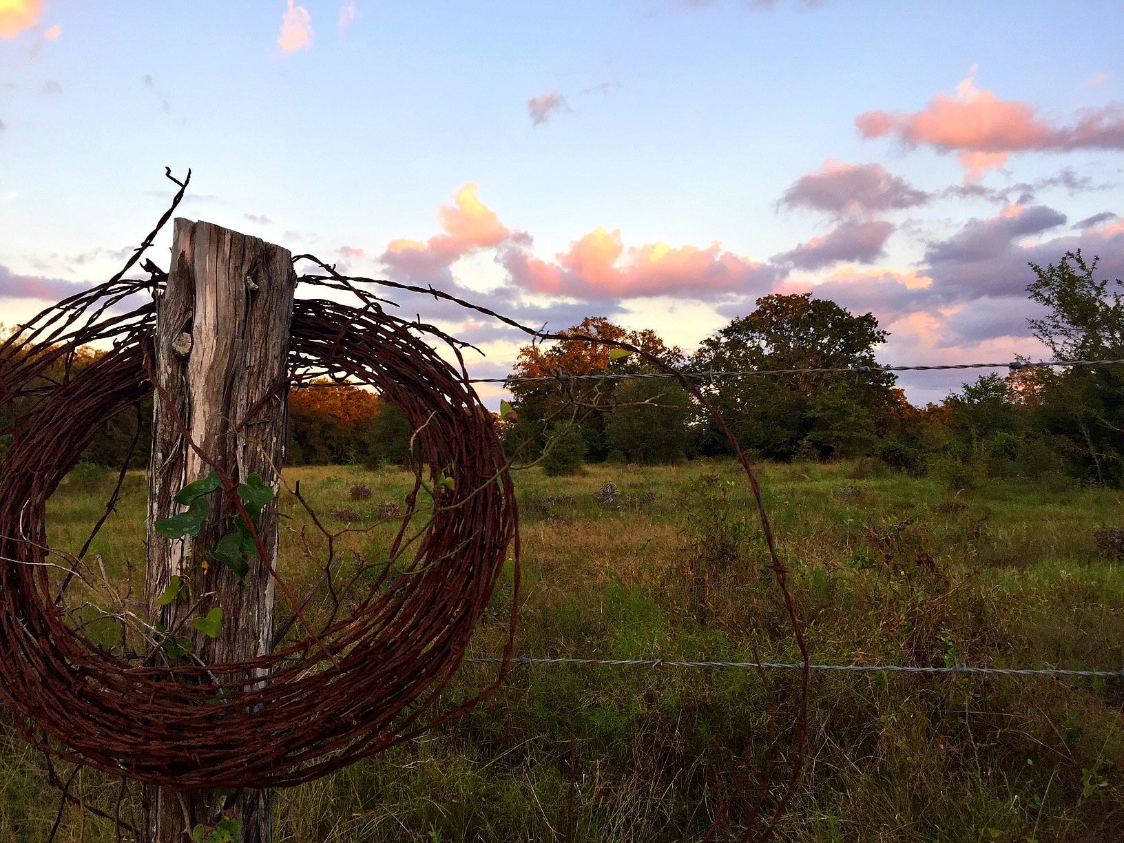 Night Bird Ranch