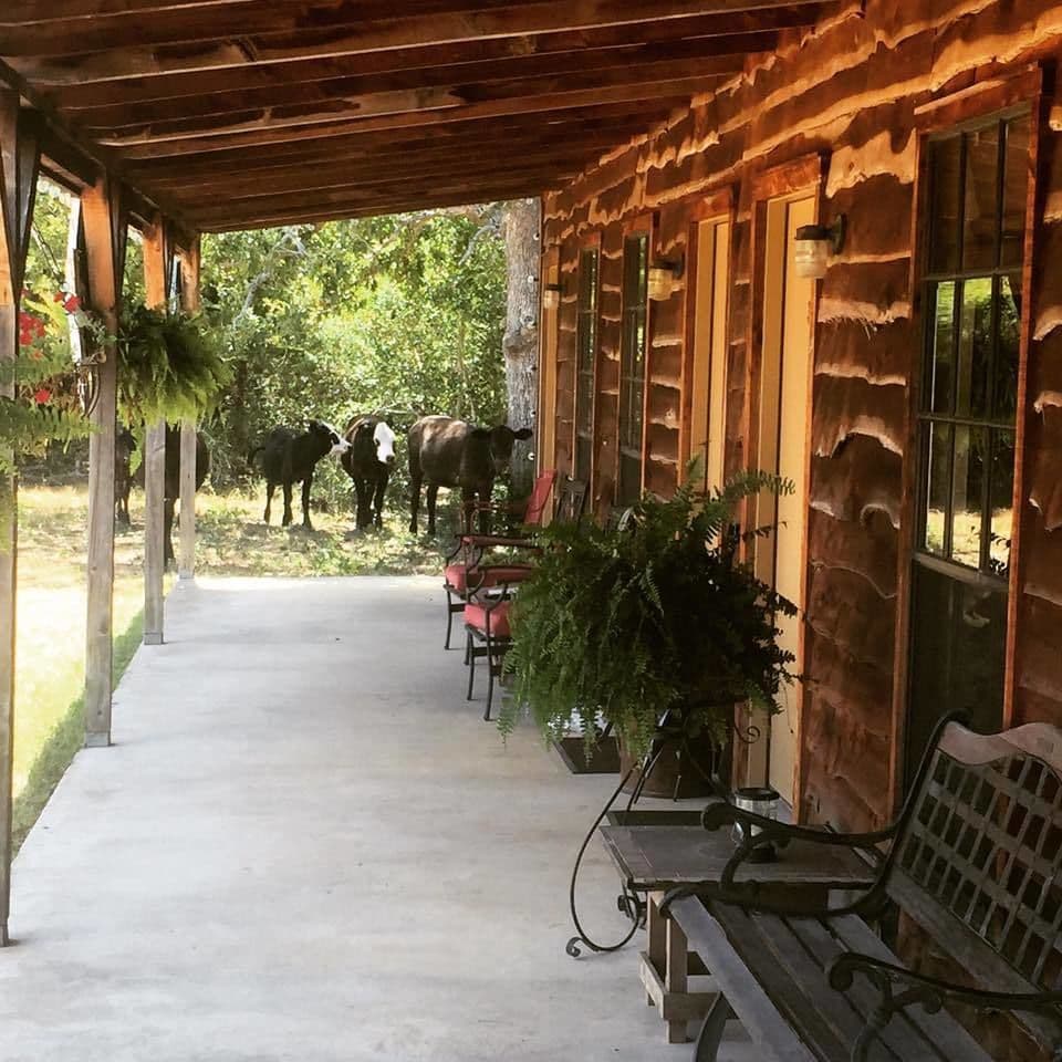 Night Bird Ranch