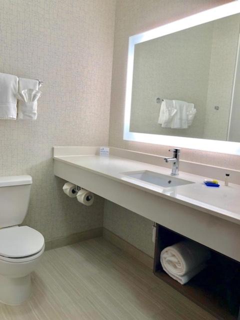 Holiday Inn Express & Suites Longview South I-20