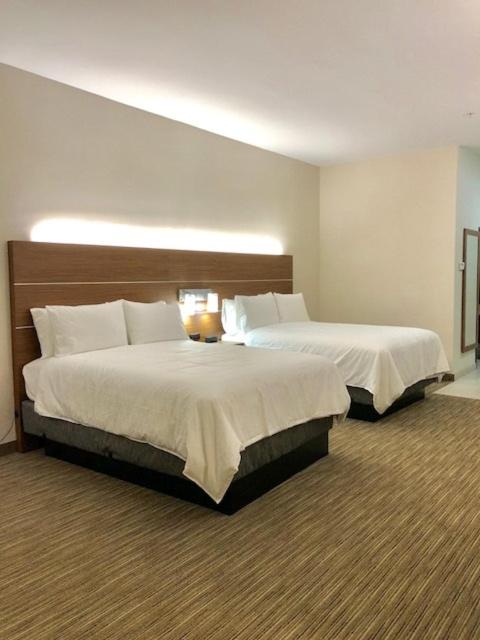 Holiday Inn Express & Suites Longview South I-20