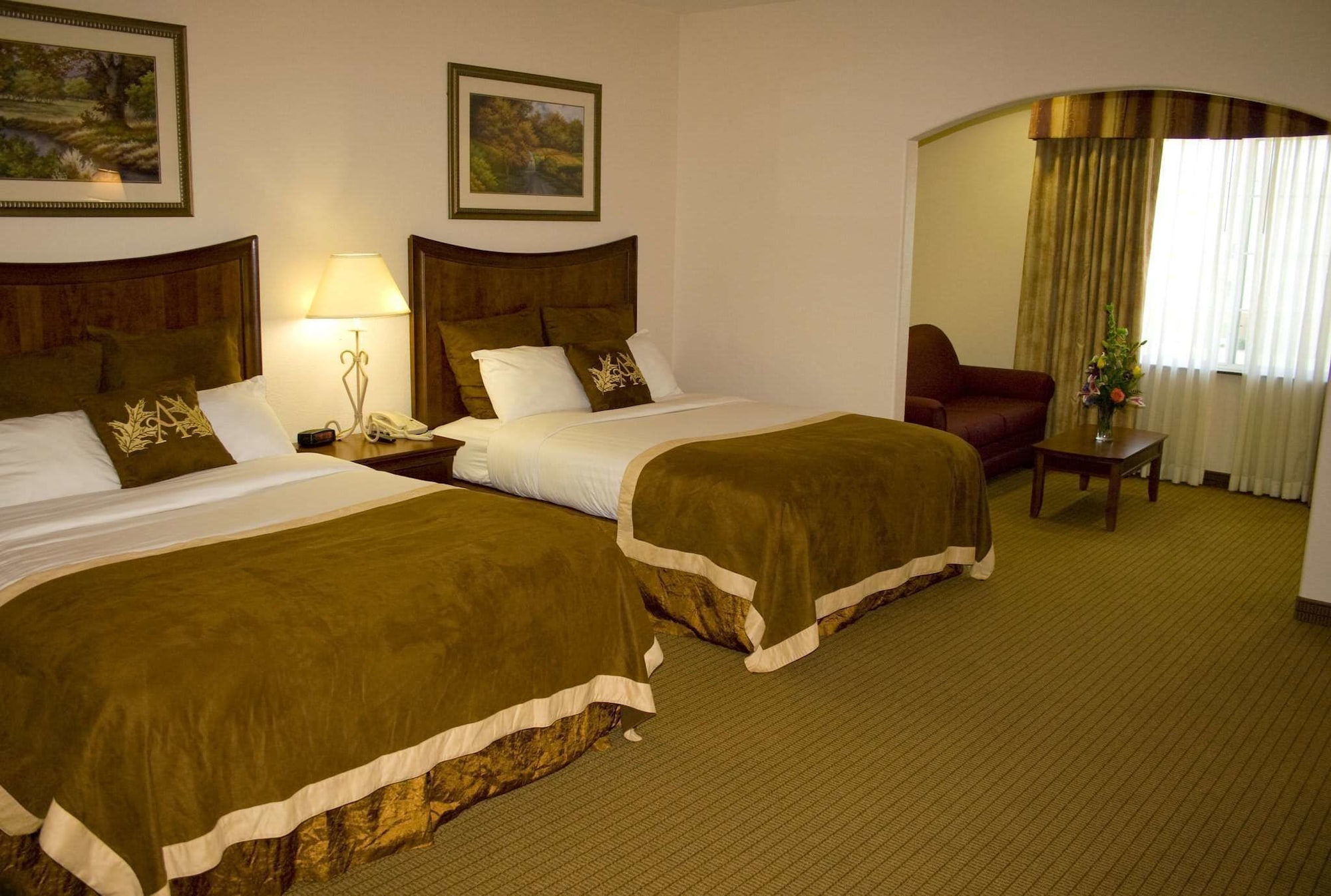 Best Western Lubbock West Inn & Suites
