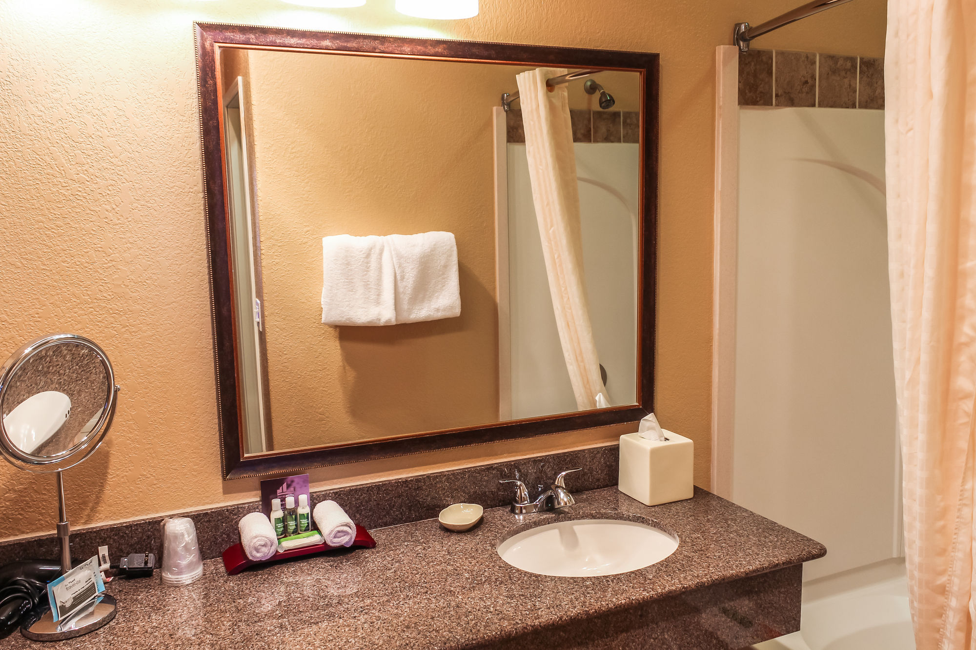 Best Western Lubbock West Inn & Suites
