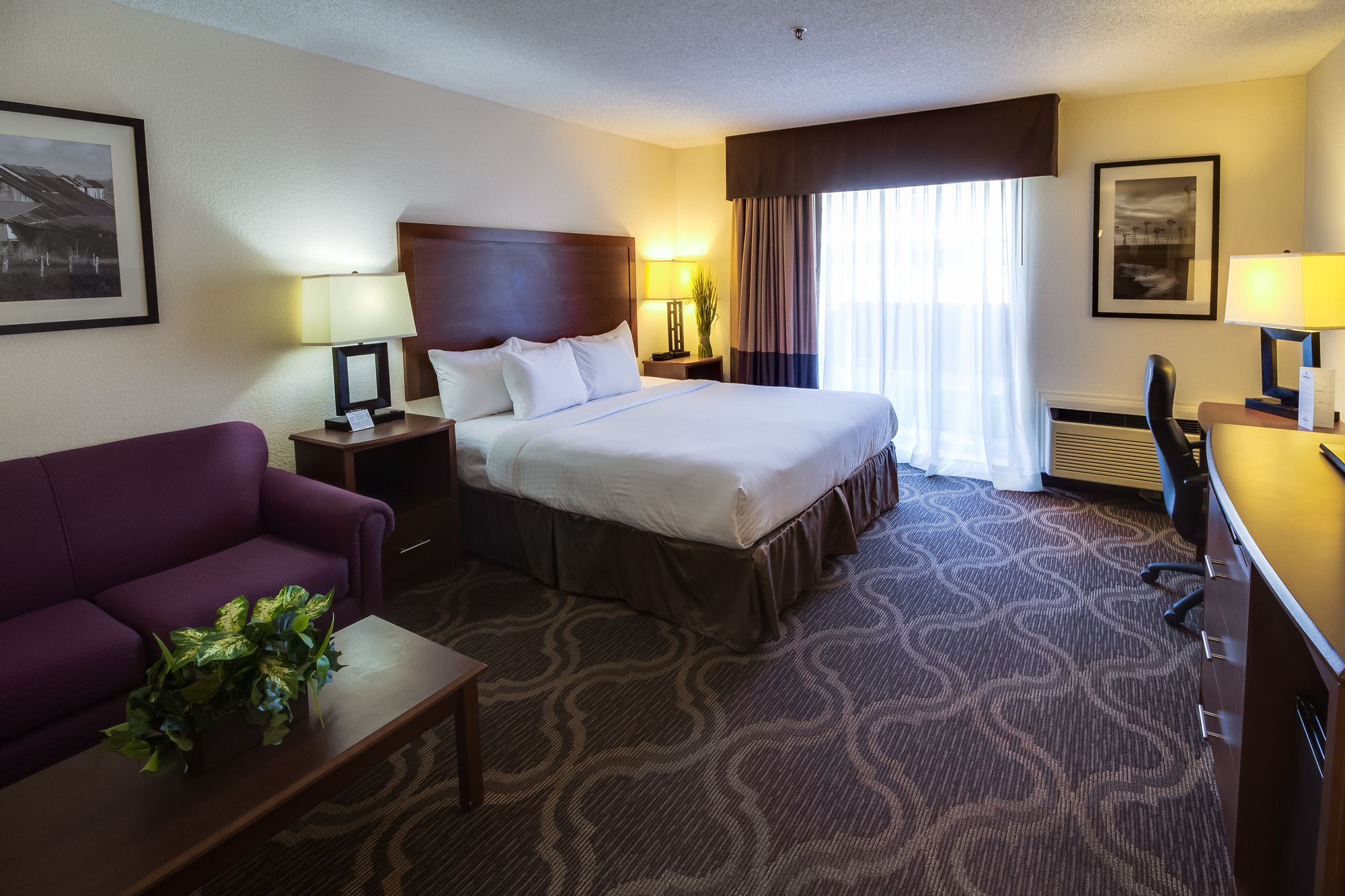 Ashmore Inn and Suites