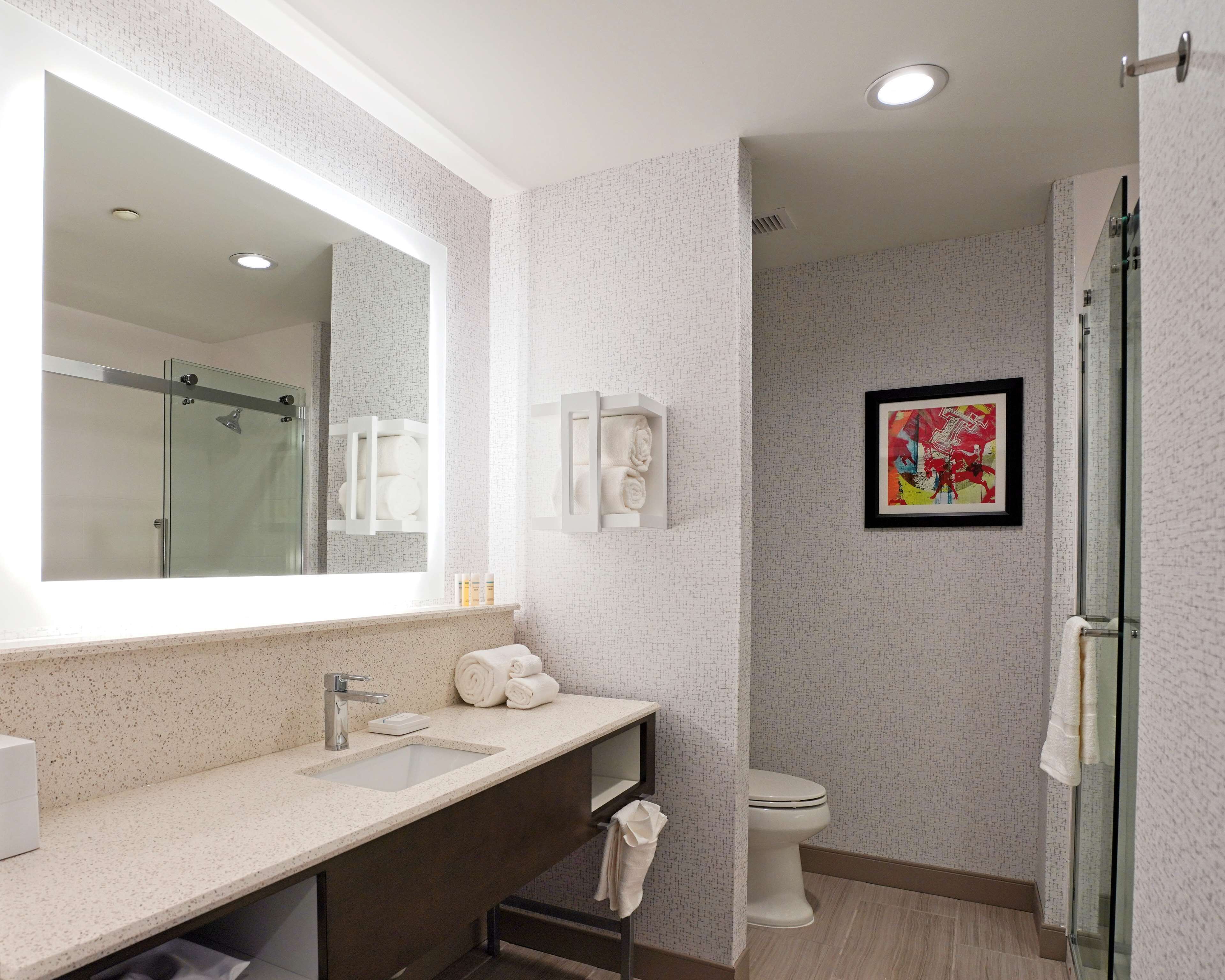 Hampton Inn & Suites Lubbock University
