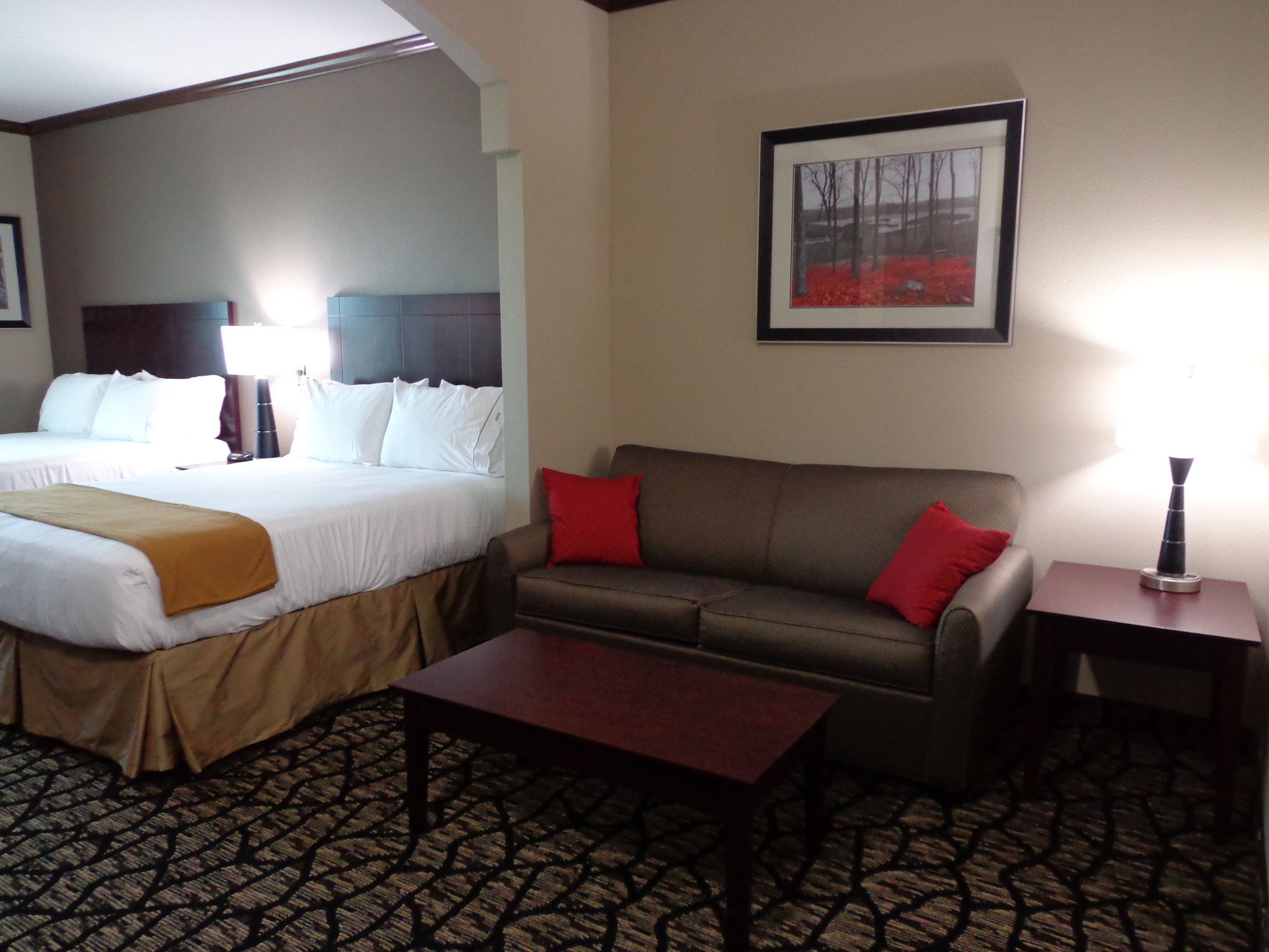 Holiday Inn Express & Suites South