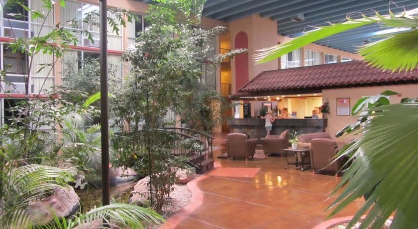 Koko Inn
