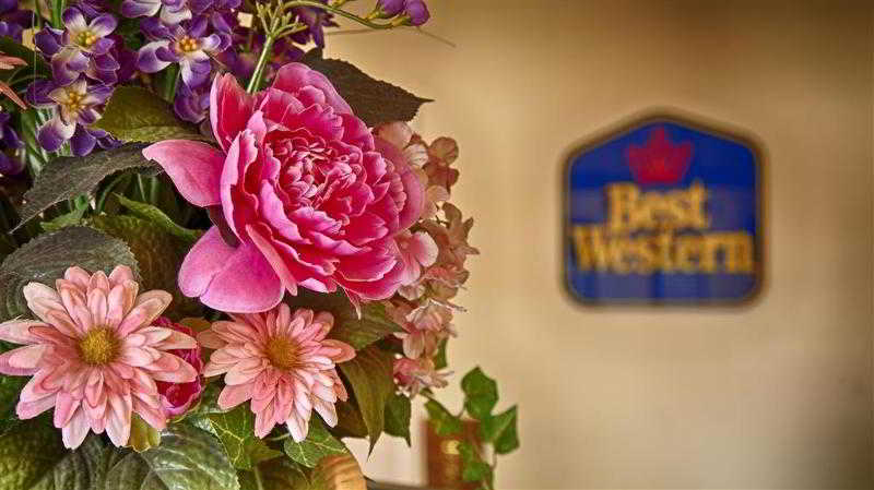 Best Western Executive Inn