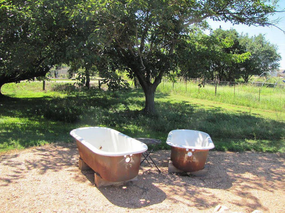 Covered Wagon Suite
