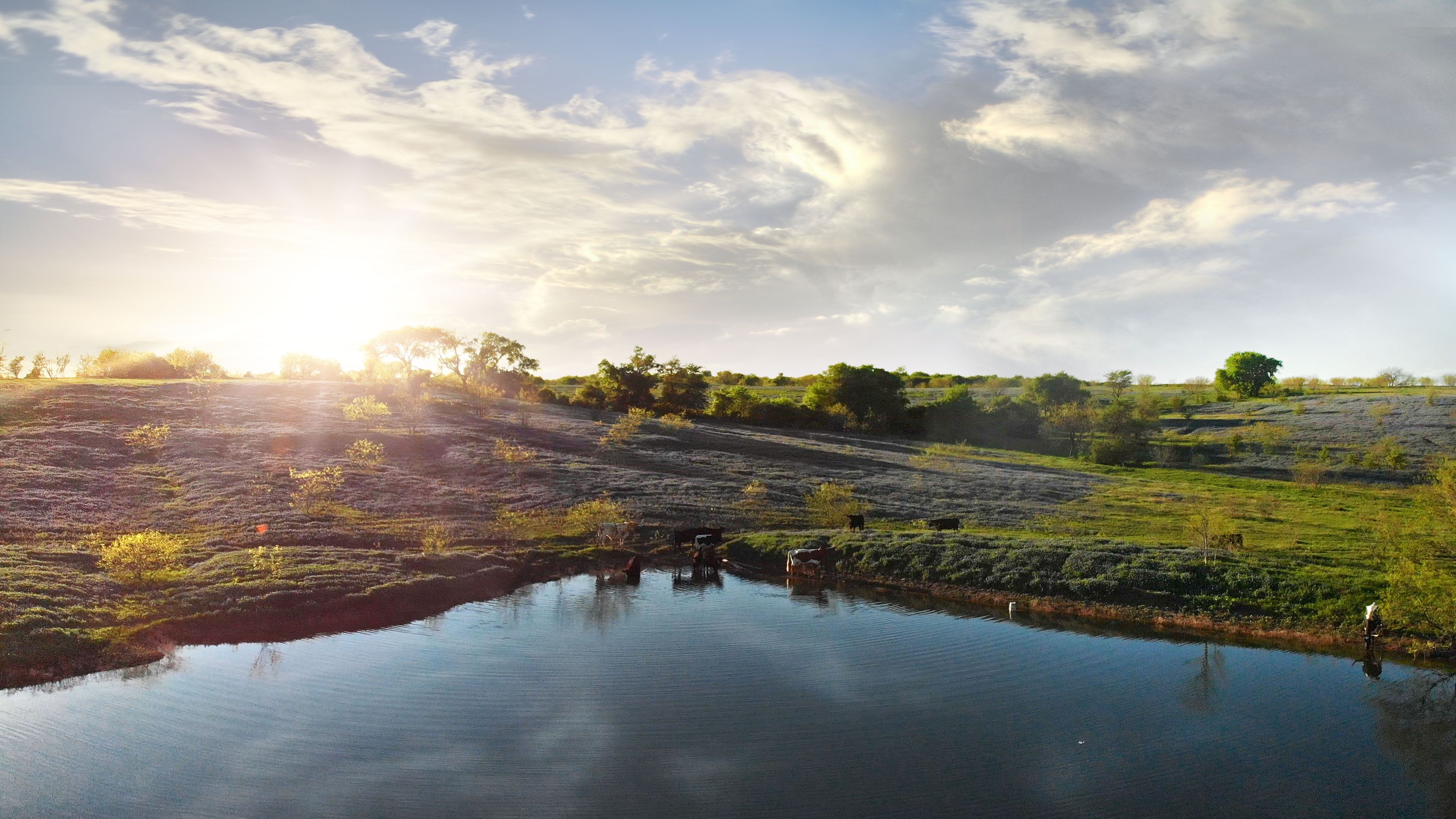 Blue Hills Ranch