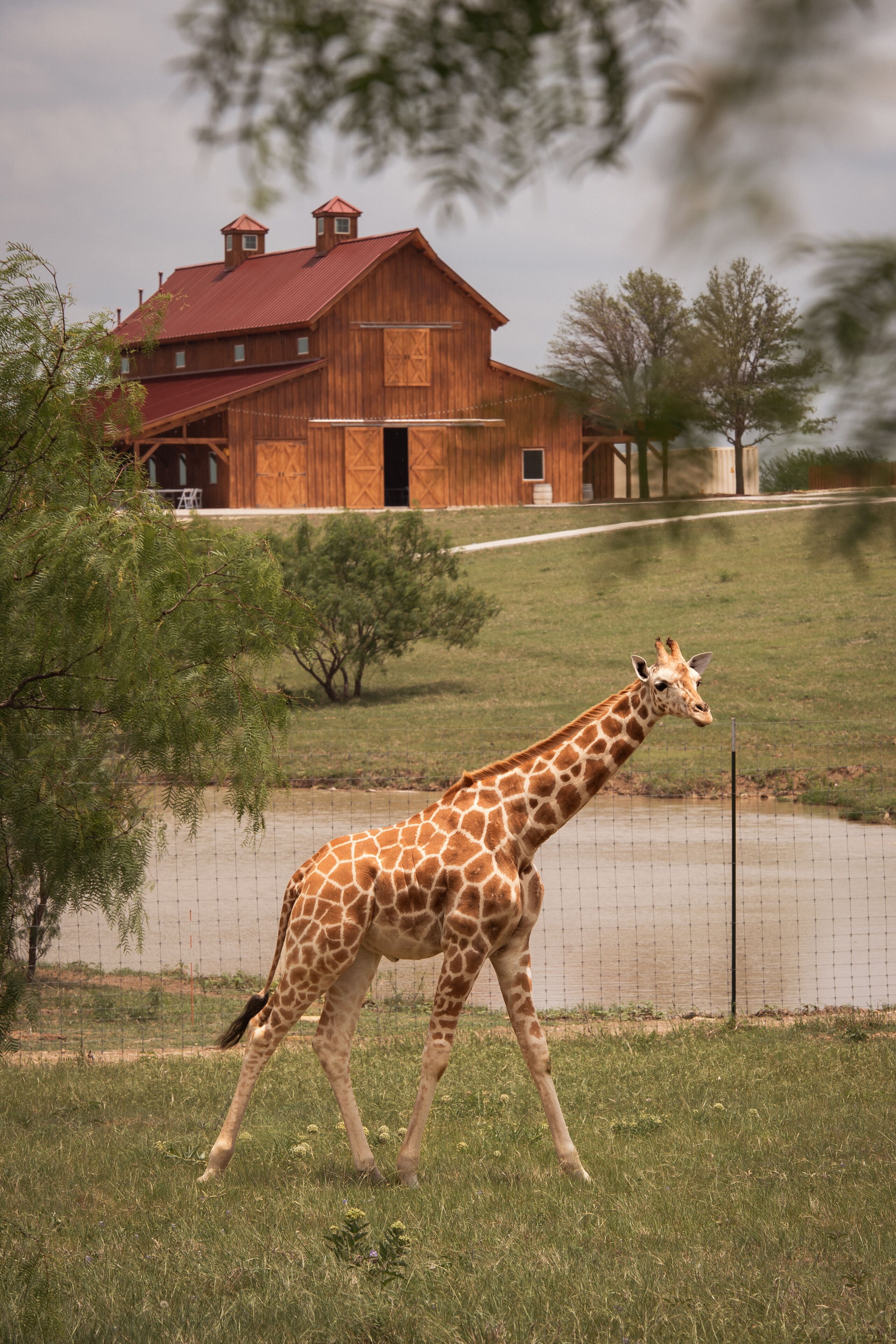 Blue Hills Ranch