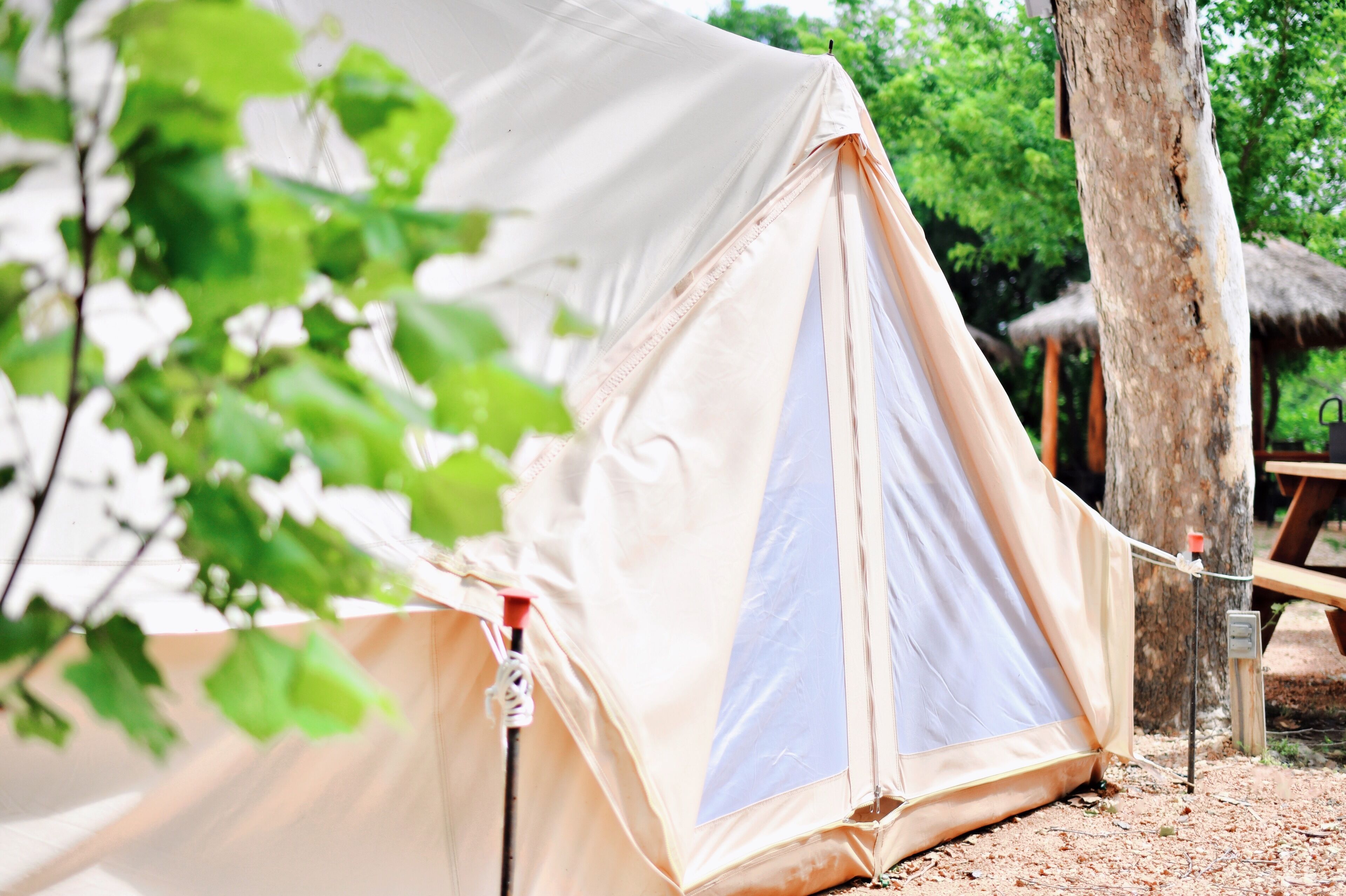 Son's Guadalupe Glamping