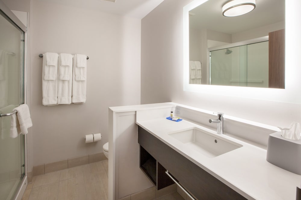 Holiday Inn Express & St Austin North Pflugerville