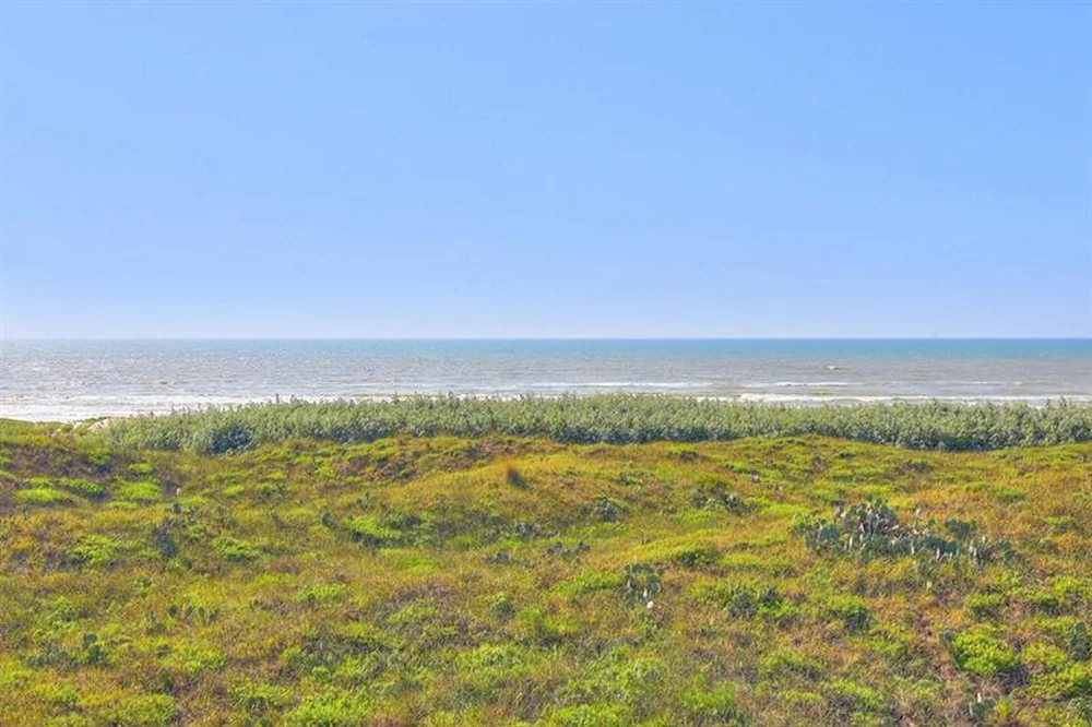 Cinnamon Shore