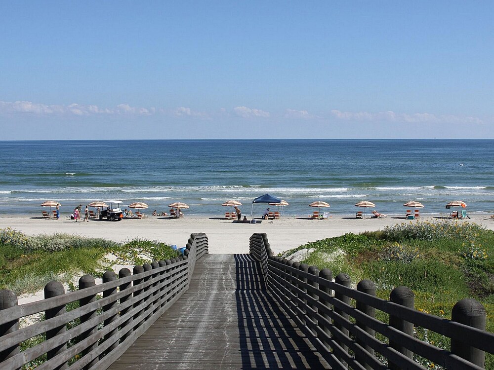 Cinnamon Shore