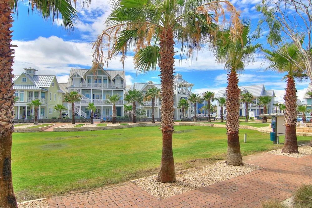 Cinnamon Shore