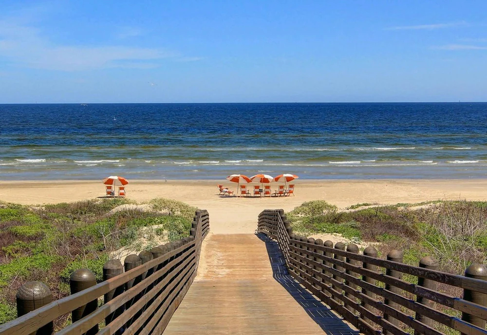 Cinnamon Shore