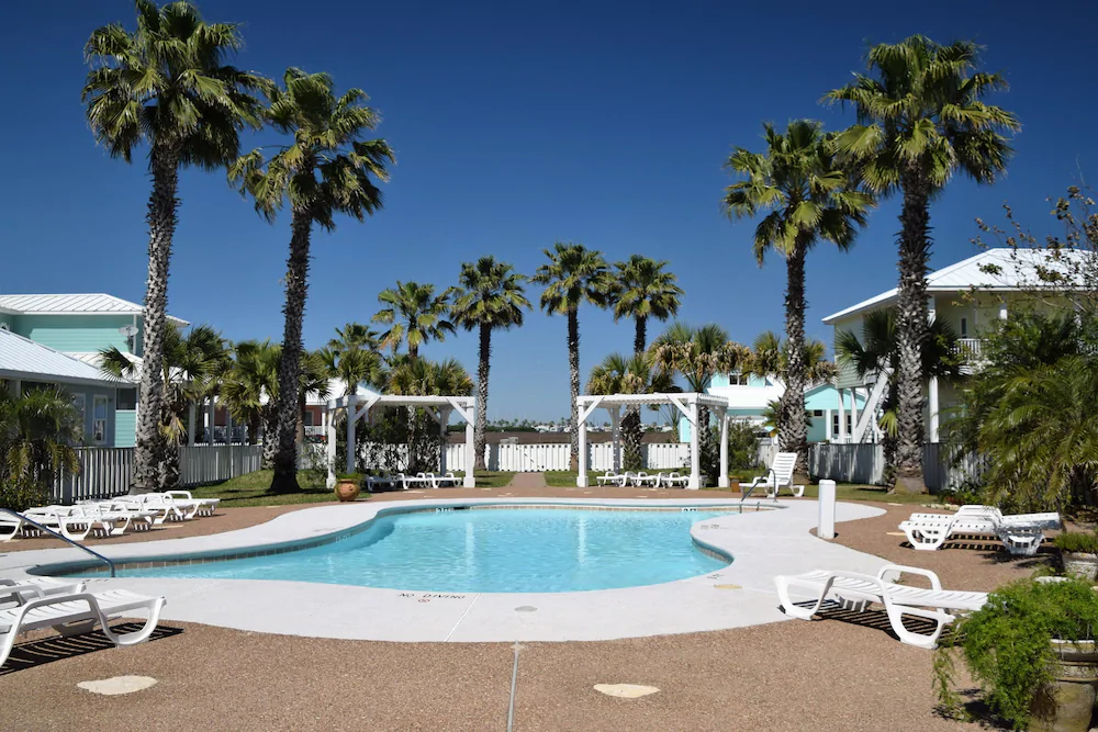 Paradise Palms