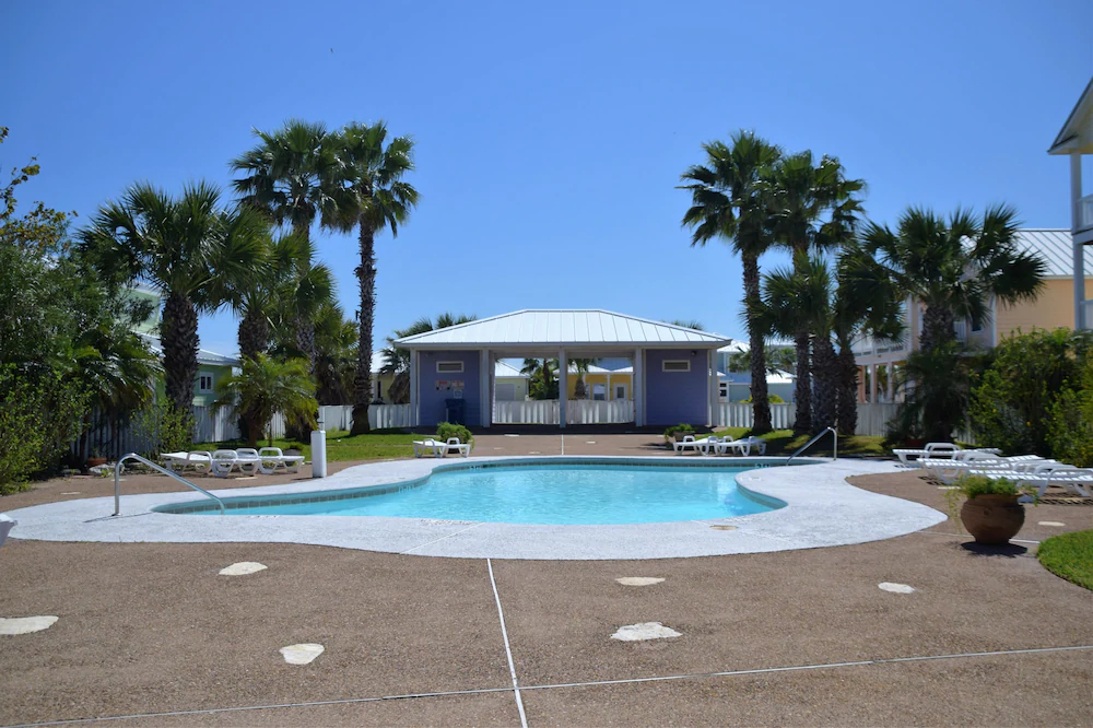 Paradise Palms