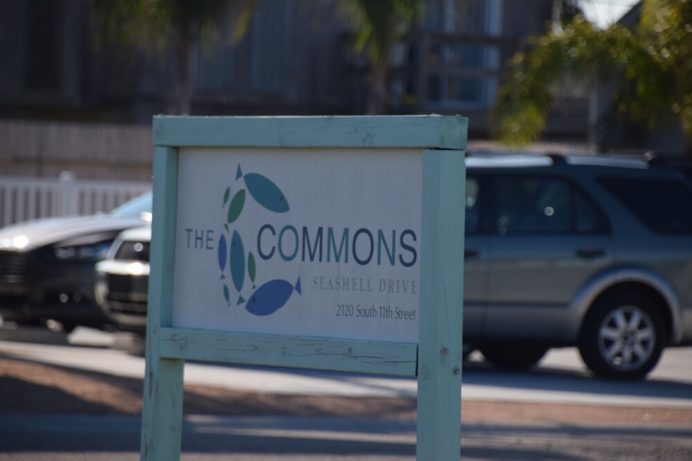 Reel Beachy @ The Commons