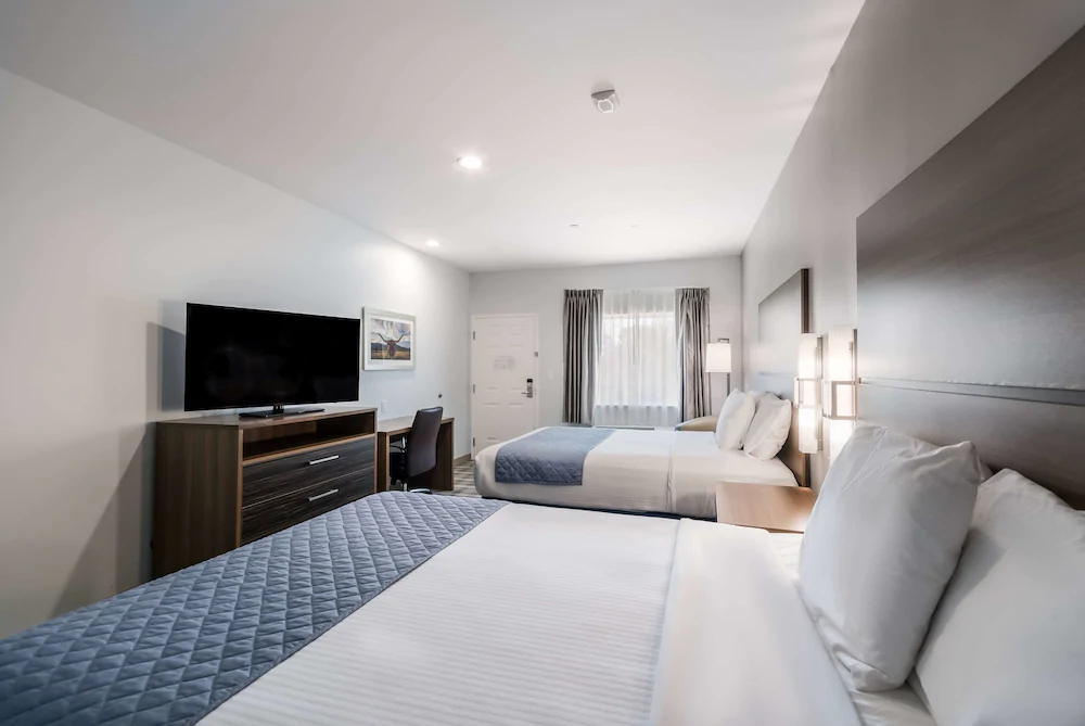 Americas Best Value Inn & Suites Porter North Houston